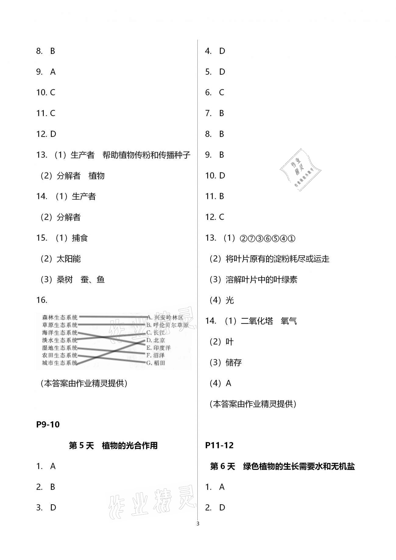 2021年优化学习寒假20天七年级生物地理江苏专版 第3页