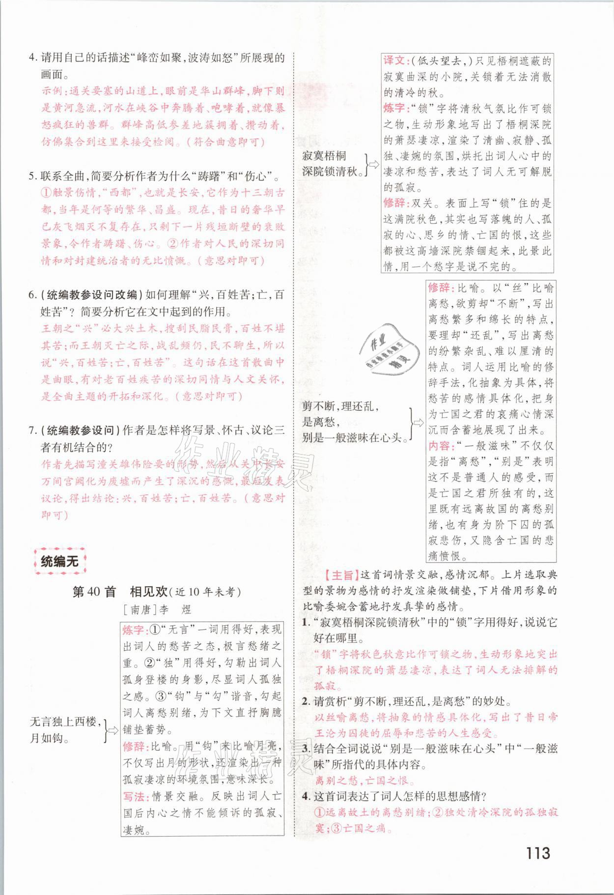 2021年領(lǐng)揚(yáng)文化中考研究語文河南專版 參考答案第111頁