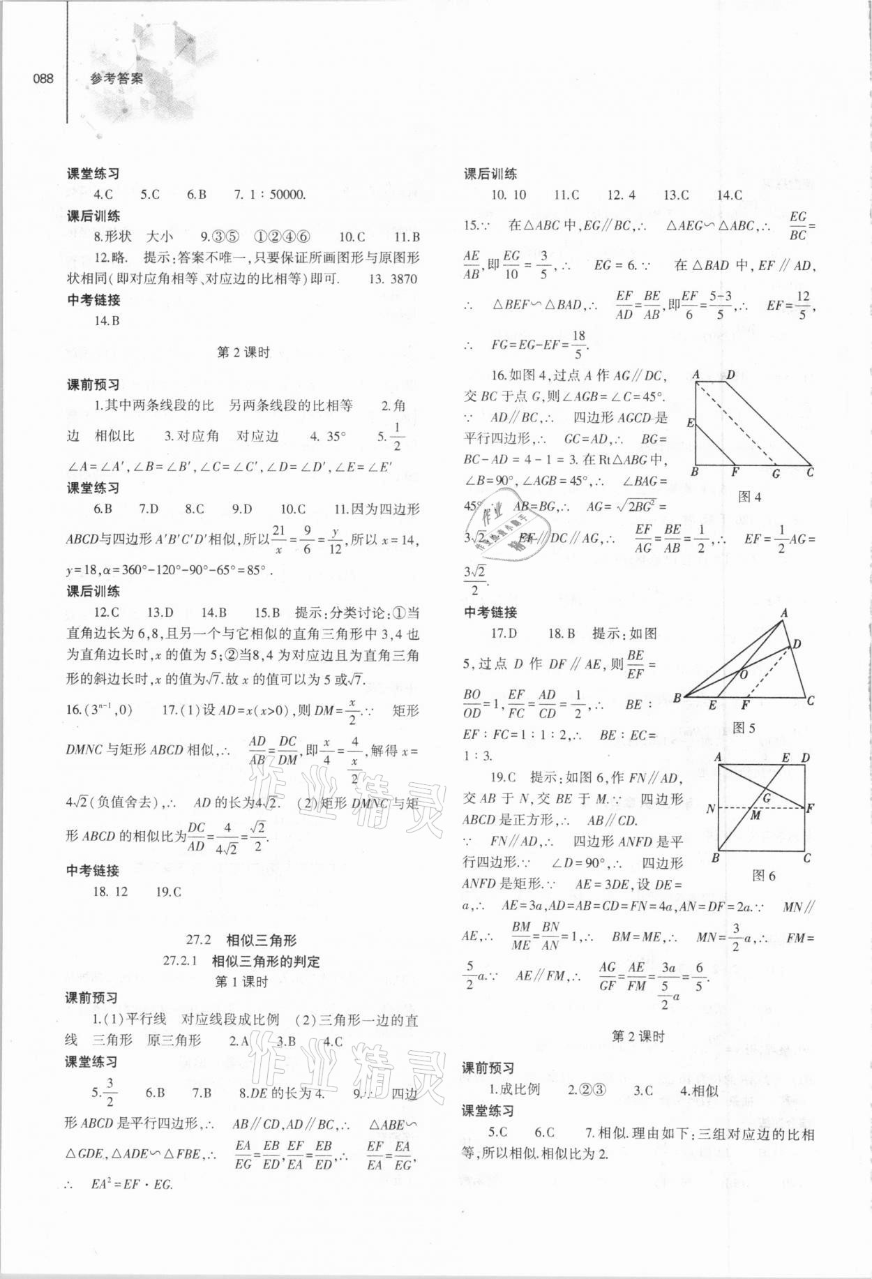 2021年同步练习册九年级数学下册人教版大象出版社 第4页