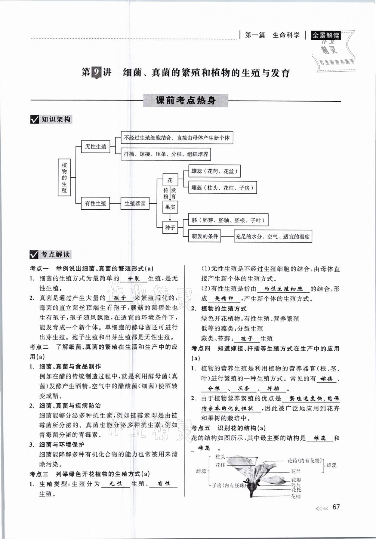 2021年中考復(fù)習(xí)全景解讀科學(xué)華師大版 參考答案第67頁(yè)