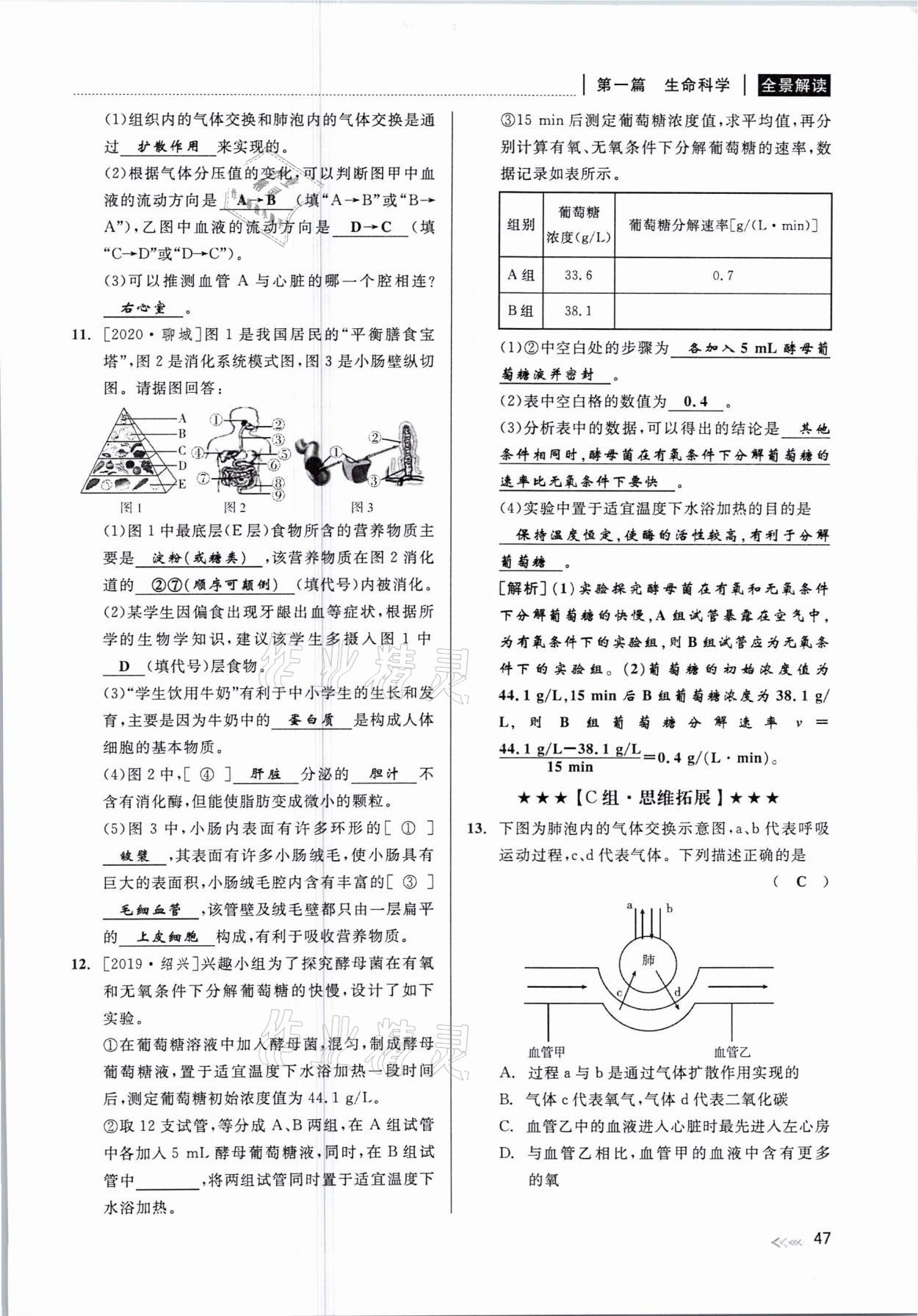 2021年中考復(fù)習(xí)全景解讀科學(xué)華師大版 參考答案第47頁