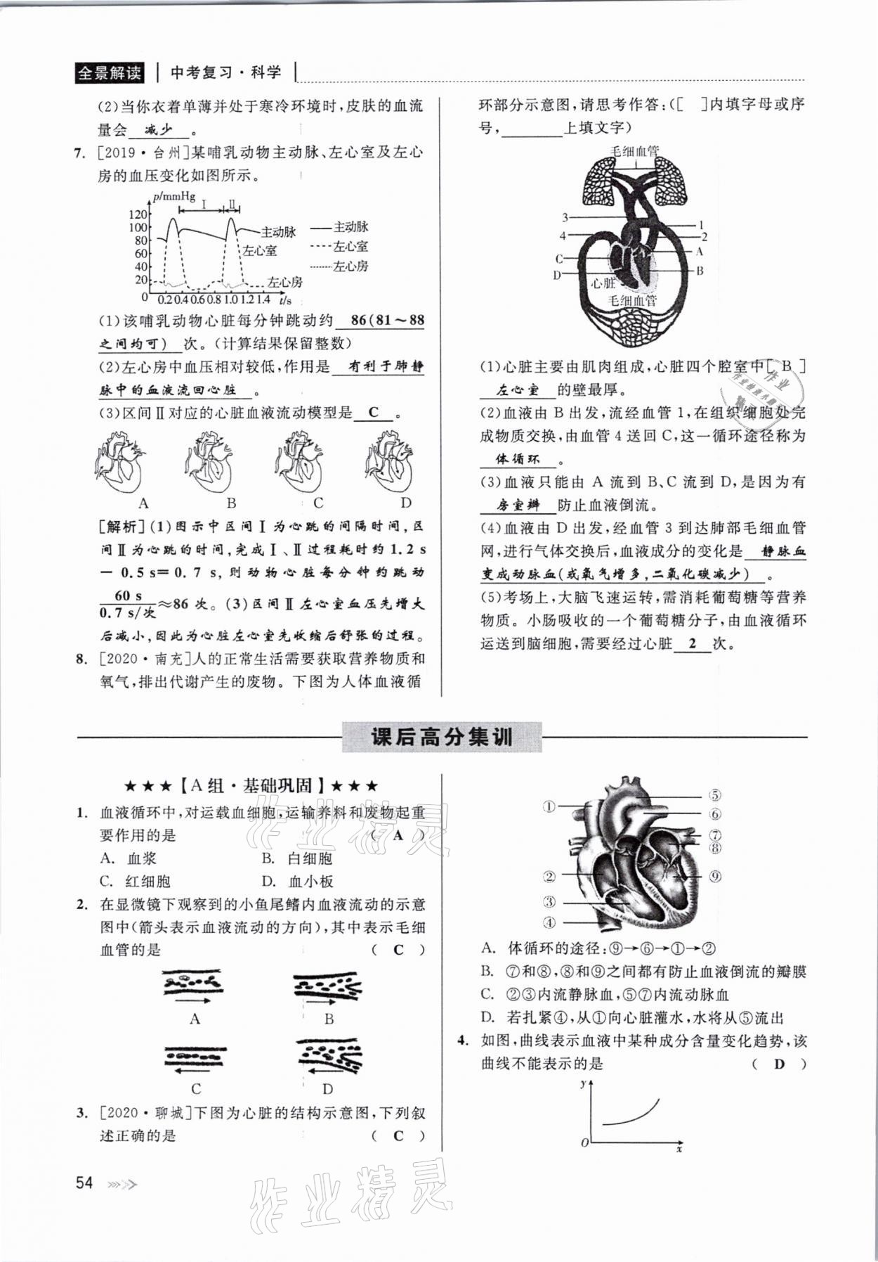 2021年中考復(fù)習(xí)全景解讀科學(xué)華師大版 參考答案第54頁