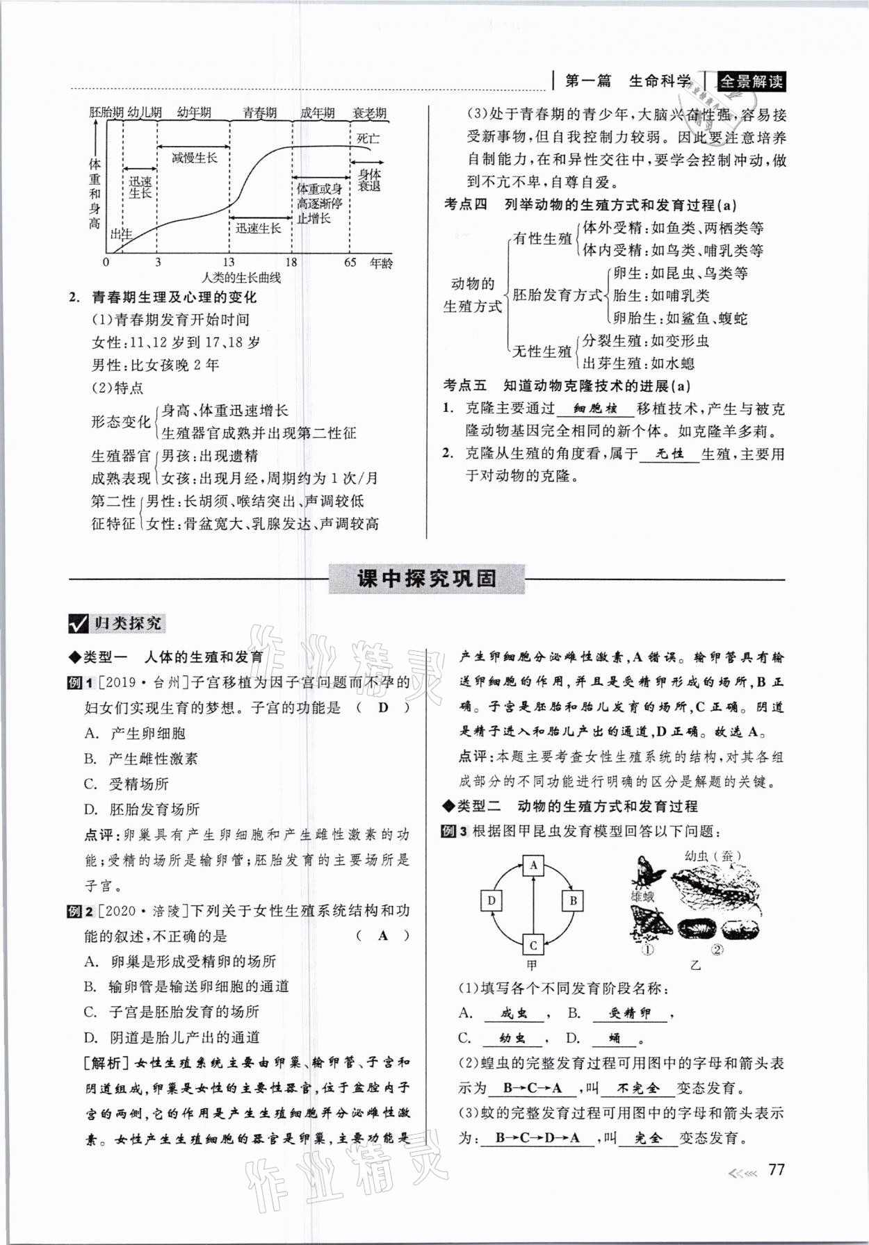 2021年中考復習全景解讀科學華師大版 參考答案第77頁