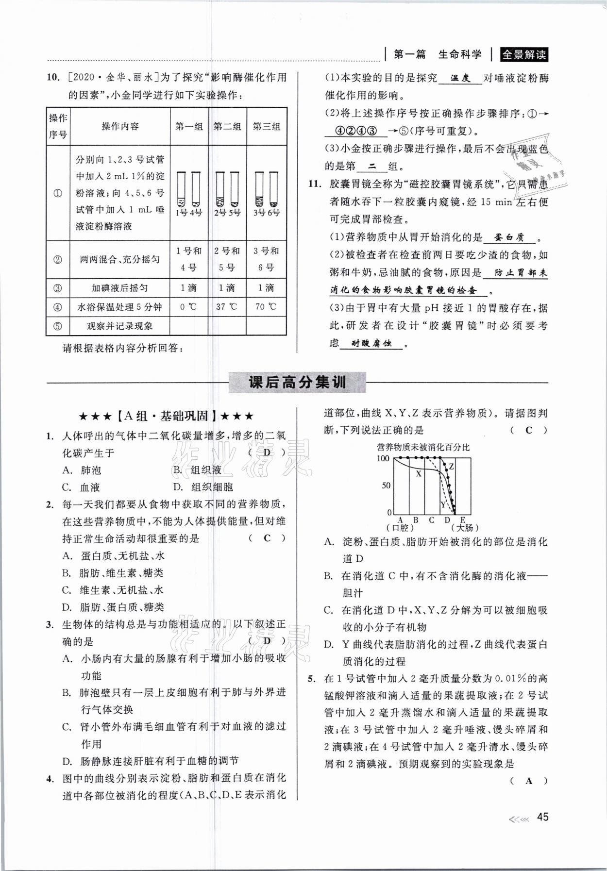 2021年中考復(fù)習(xí)全景解讀科學(xué)華師大版 參考答案第45頁