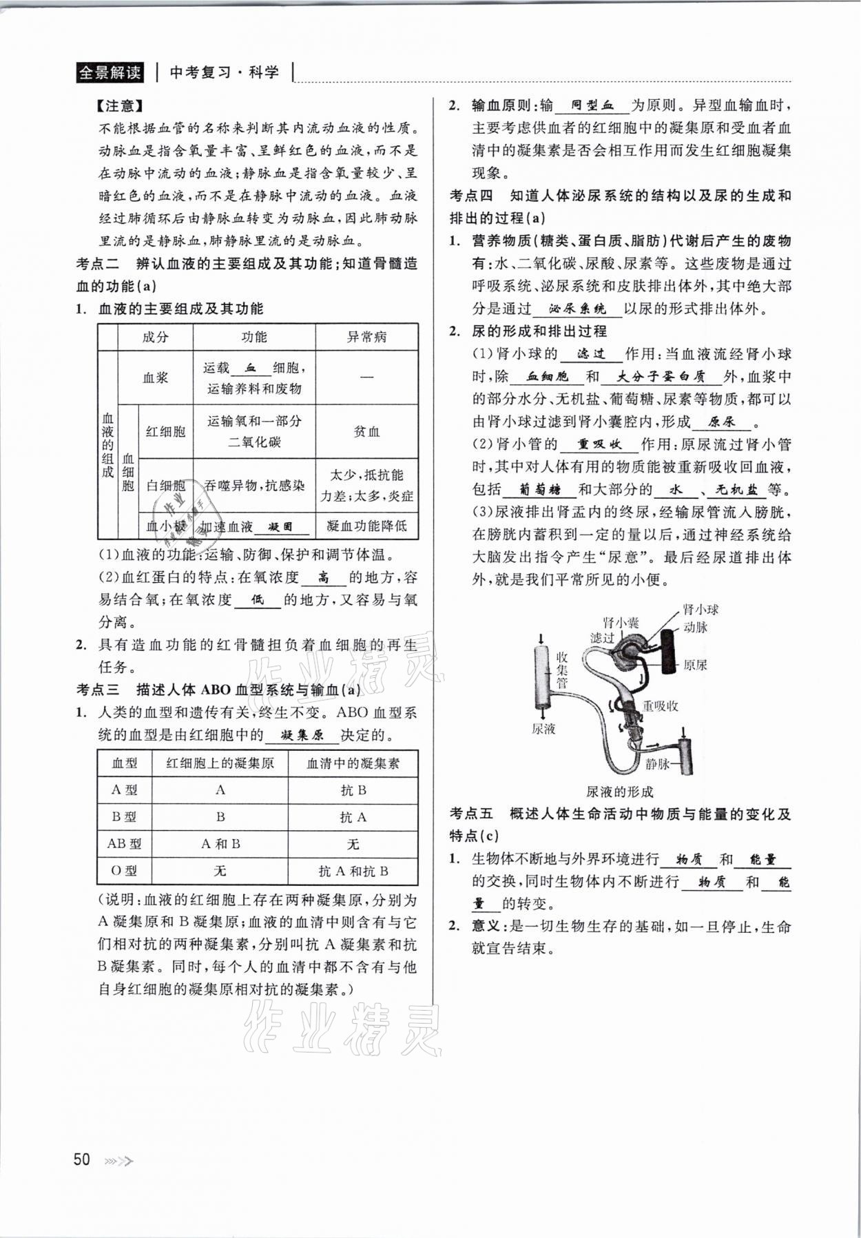 2021年中考復習全景解讀科學華師大版 參考答案第50頁