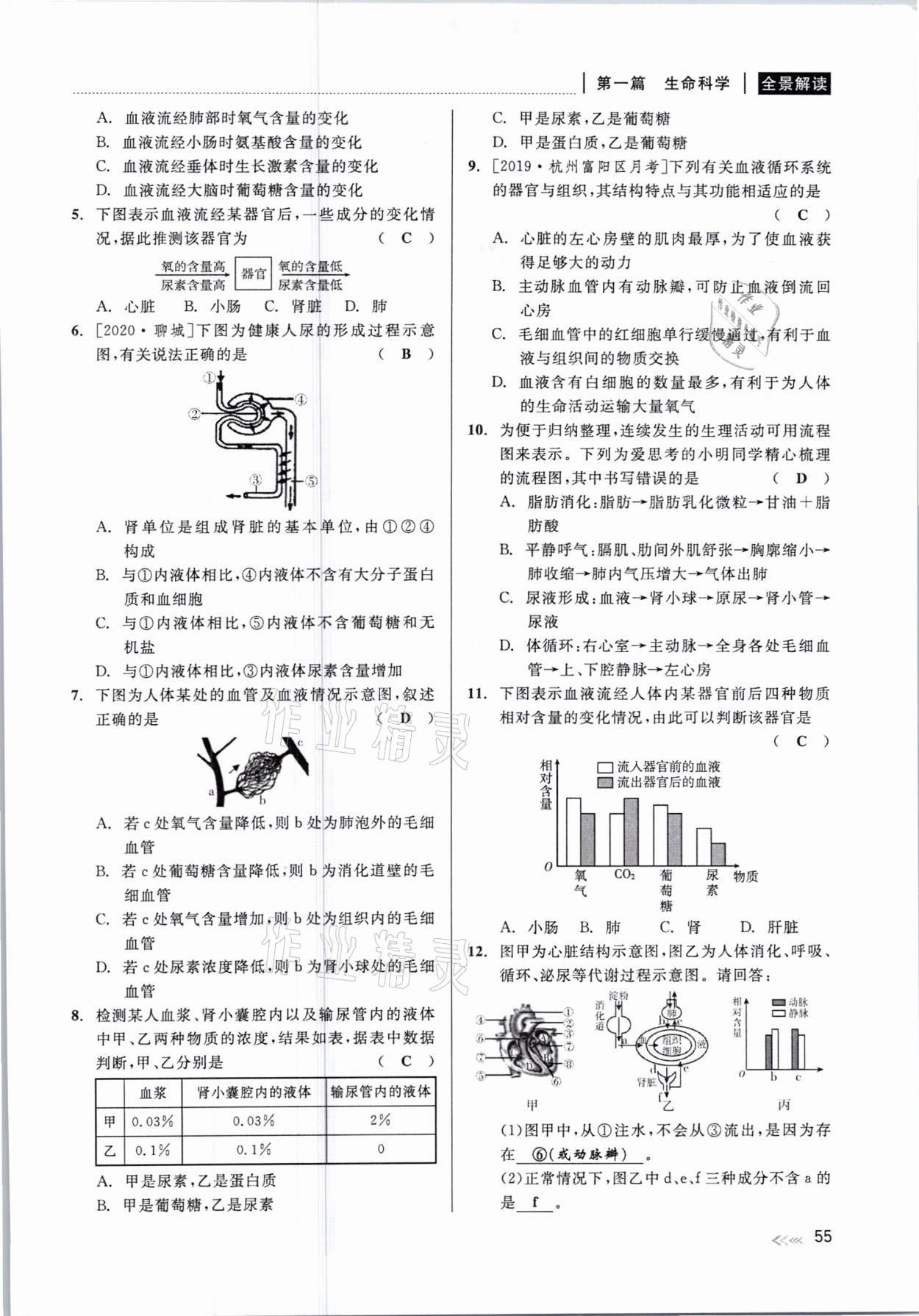 2021年中考復(fù)習(xí)全景解讀科學(xué)華師大版 參考答案第55頁(yè)