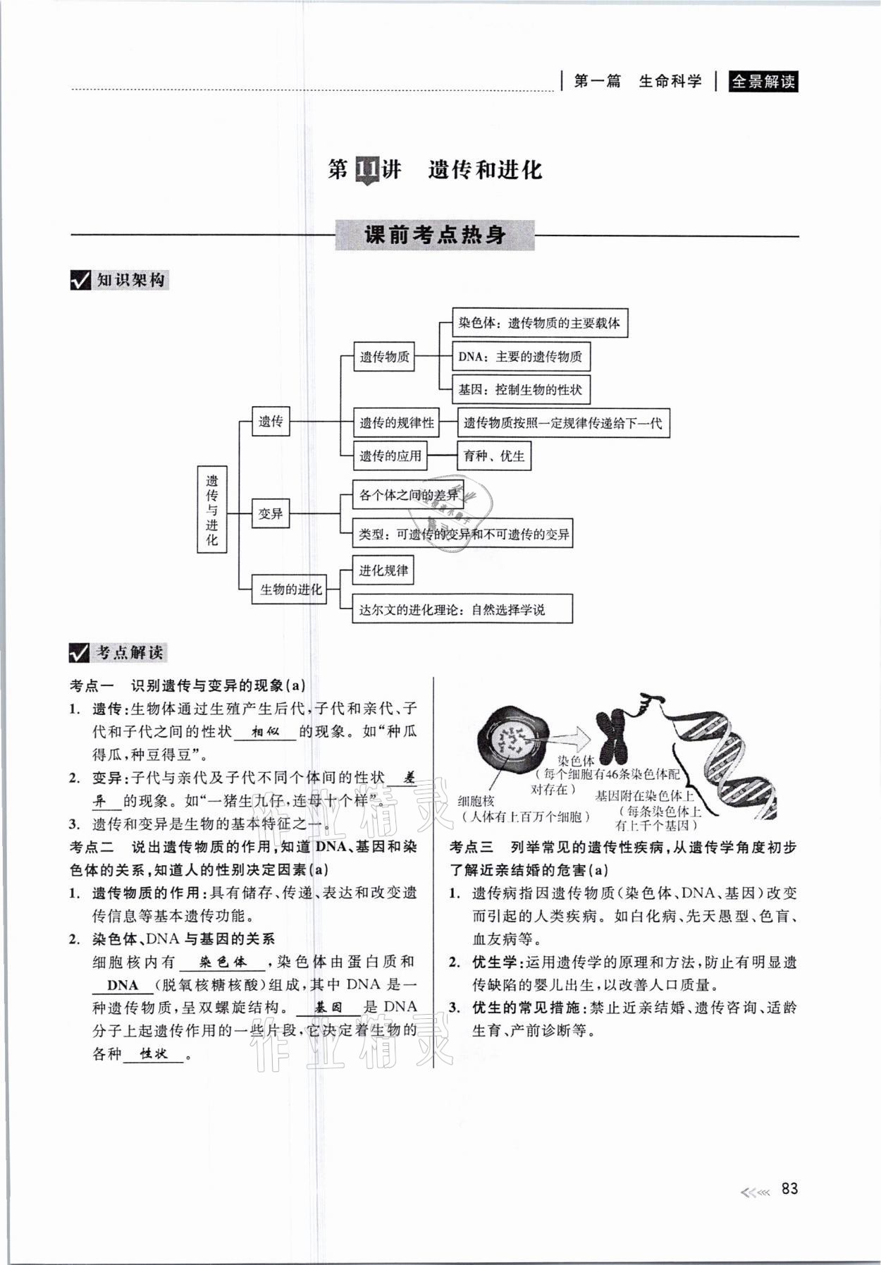 2021年中考復(fù)習(xí)全景解讀科學(xué)華師大版 參考答案第83頁(yè)