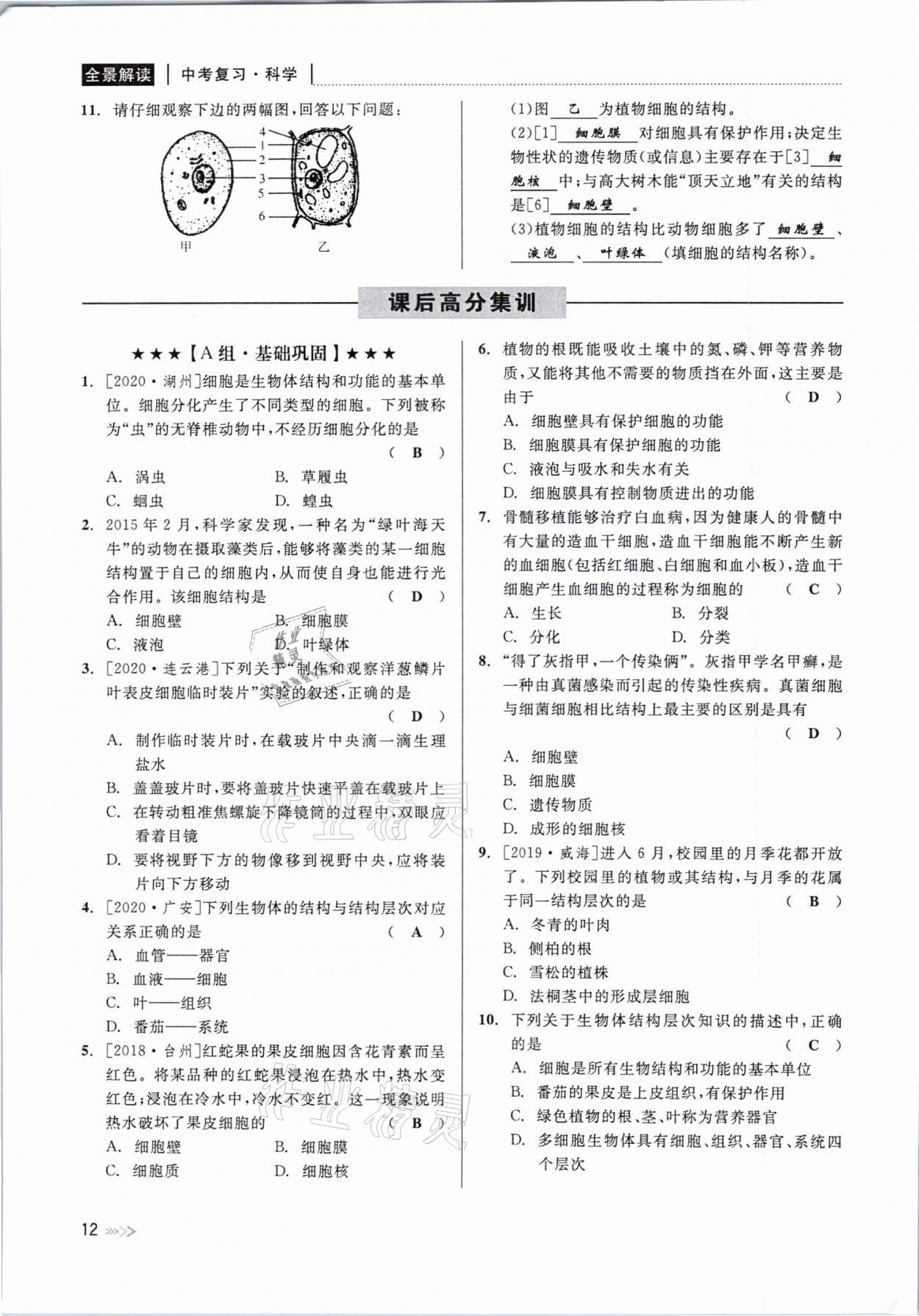 2021年中考復(fù)習(xí)全景解讀科學(xué)華師大版 參考答案第12頁