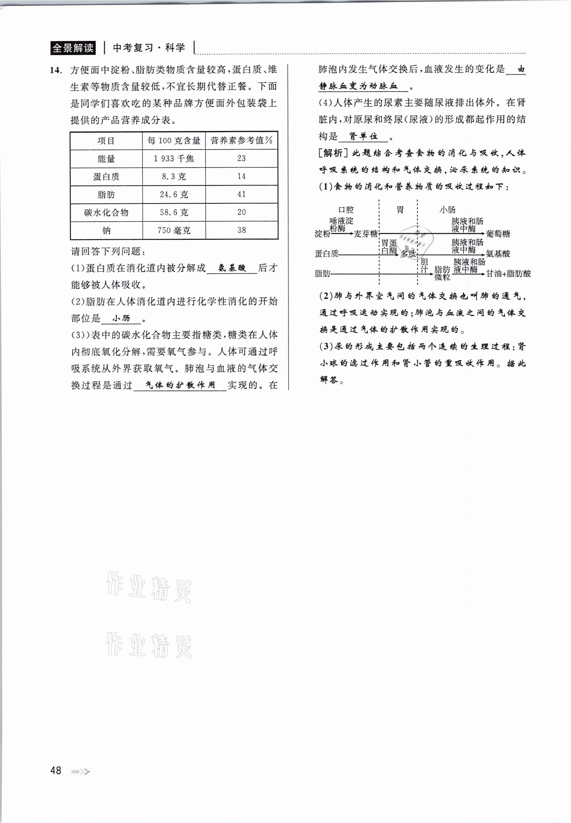 2021年中考復(fù)習(xí)全景解讀科學(xué)華師大版 參考答案第48頁