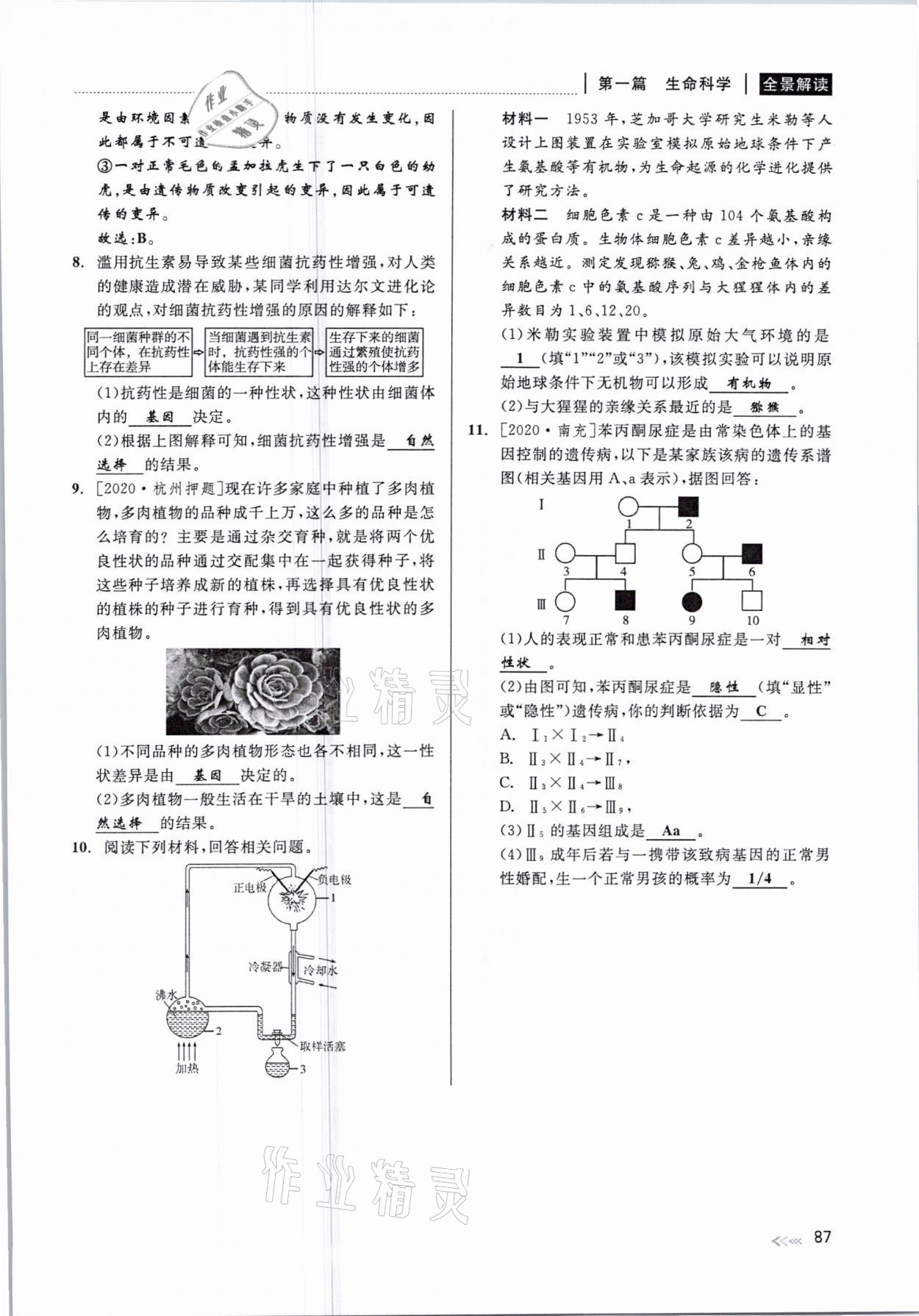 2021年中考復(fù)習(xí)全景解讀科學(xué)華師大版 參考答案第87頁