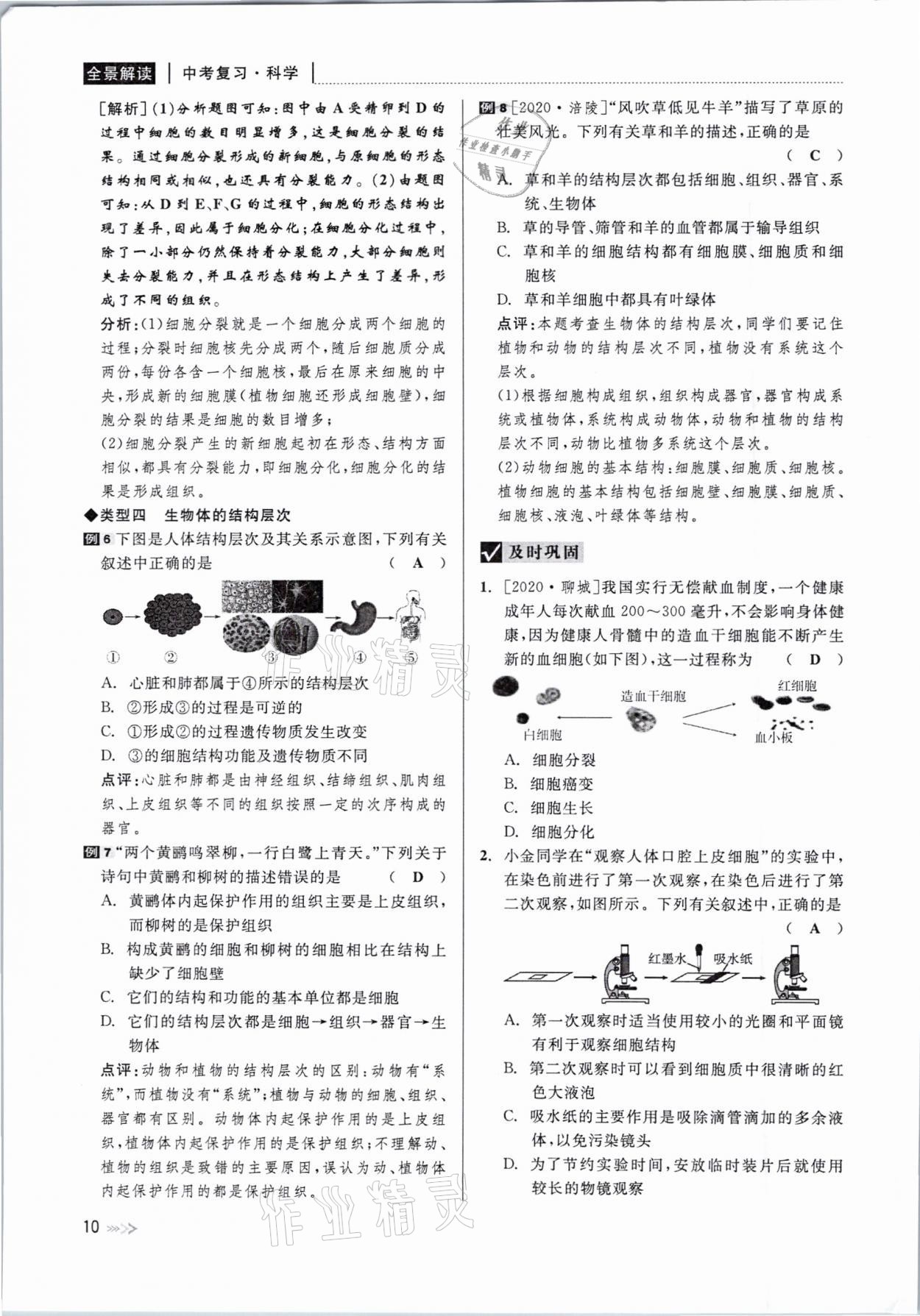 2021年中考復習全景解讀科學華師大版 參考答案第10頁