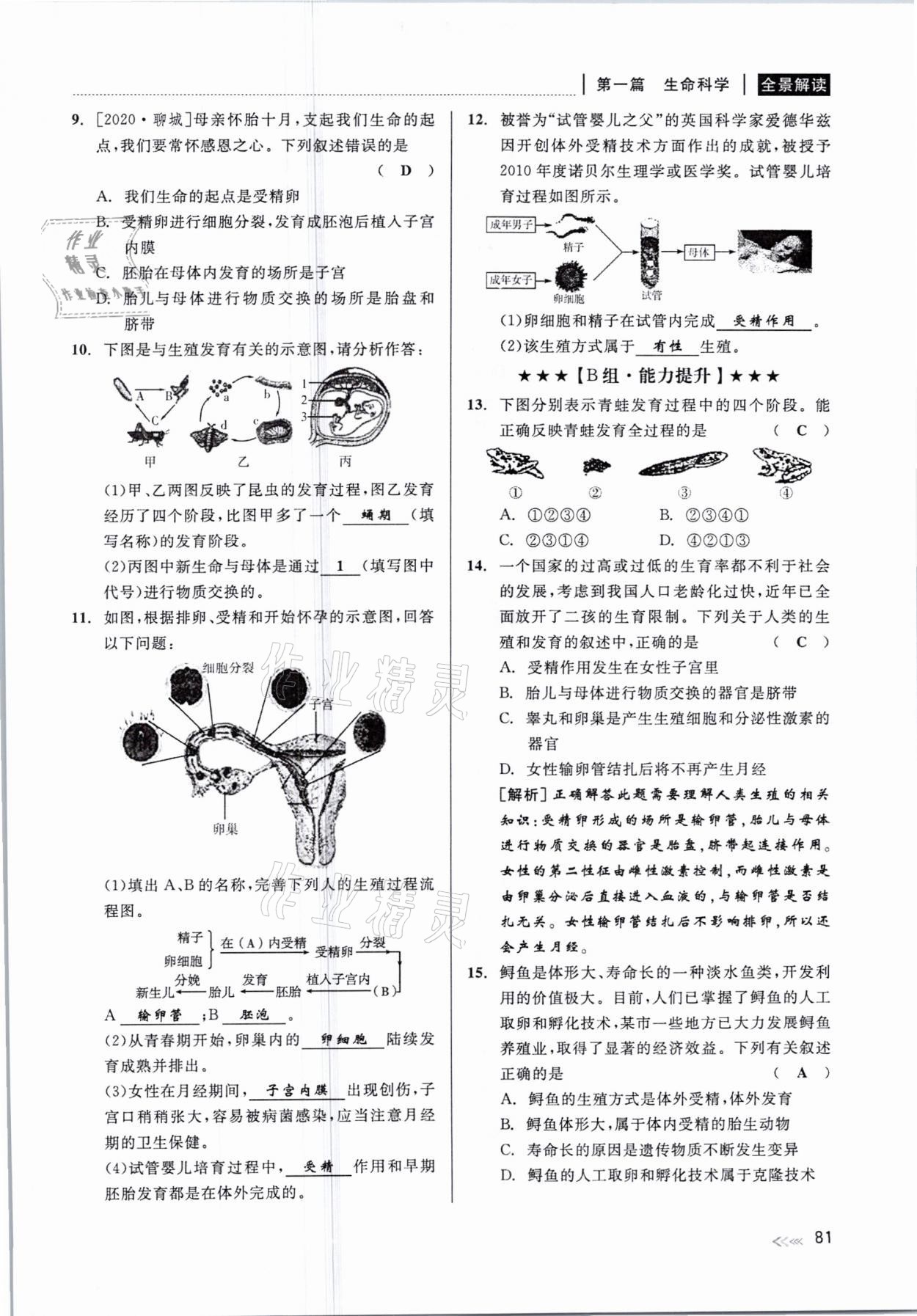 2021年中考復(fù)習(xí)全景解讀科學(xué)華師大版 參考答案第81頁