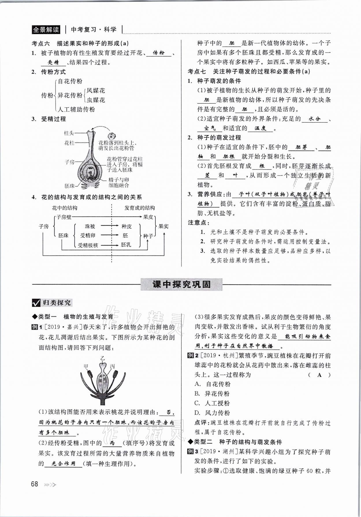 2021年中考復(fù)習(xí)全景解讀科學(xué)華師大版 參考答案第68頁(yè)