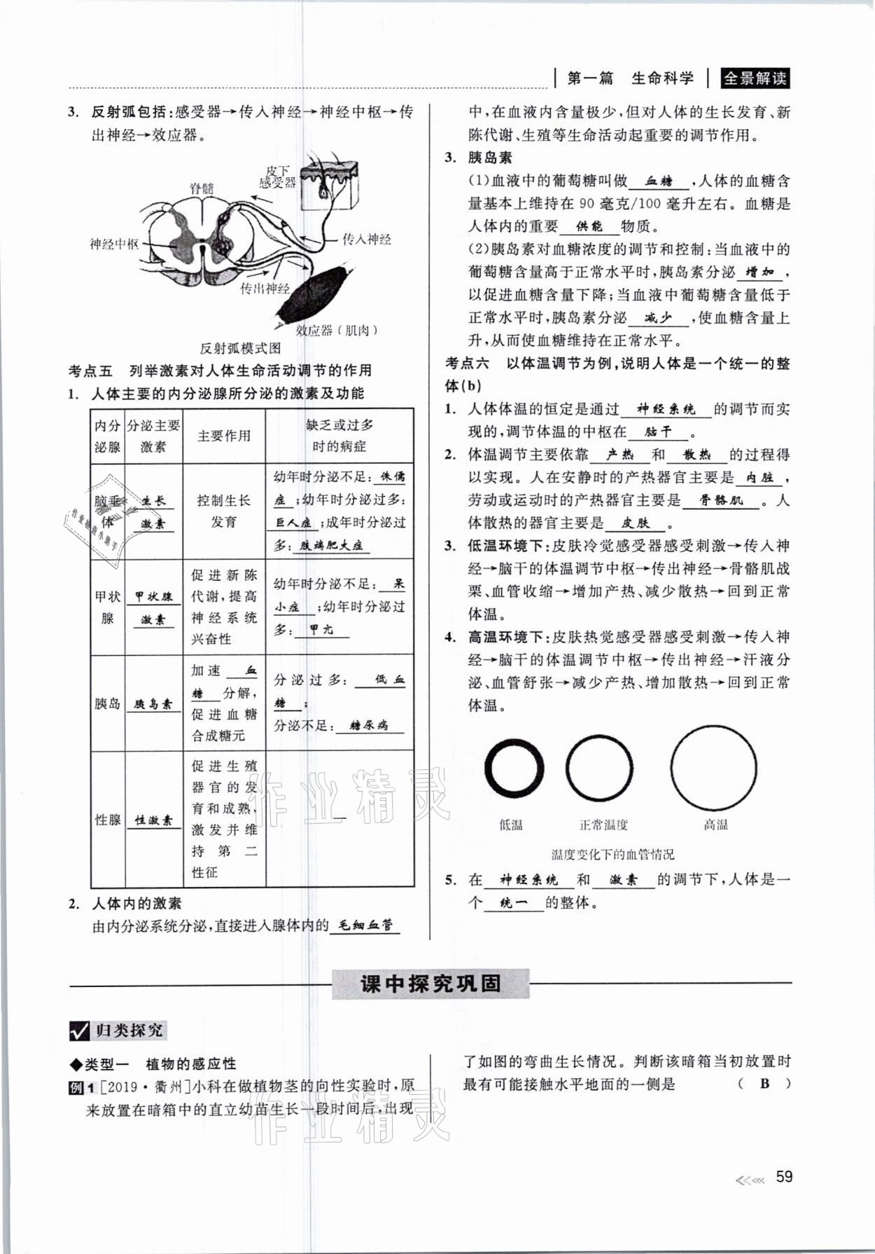 2021年中考復(fù)習(xí)全景解讀科學(xué)華師大版 參考答案第59頁