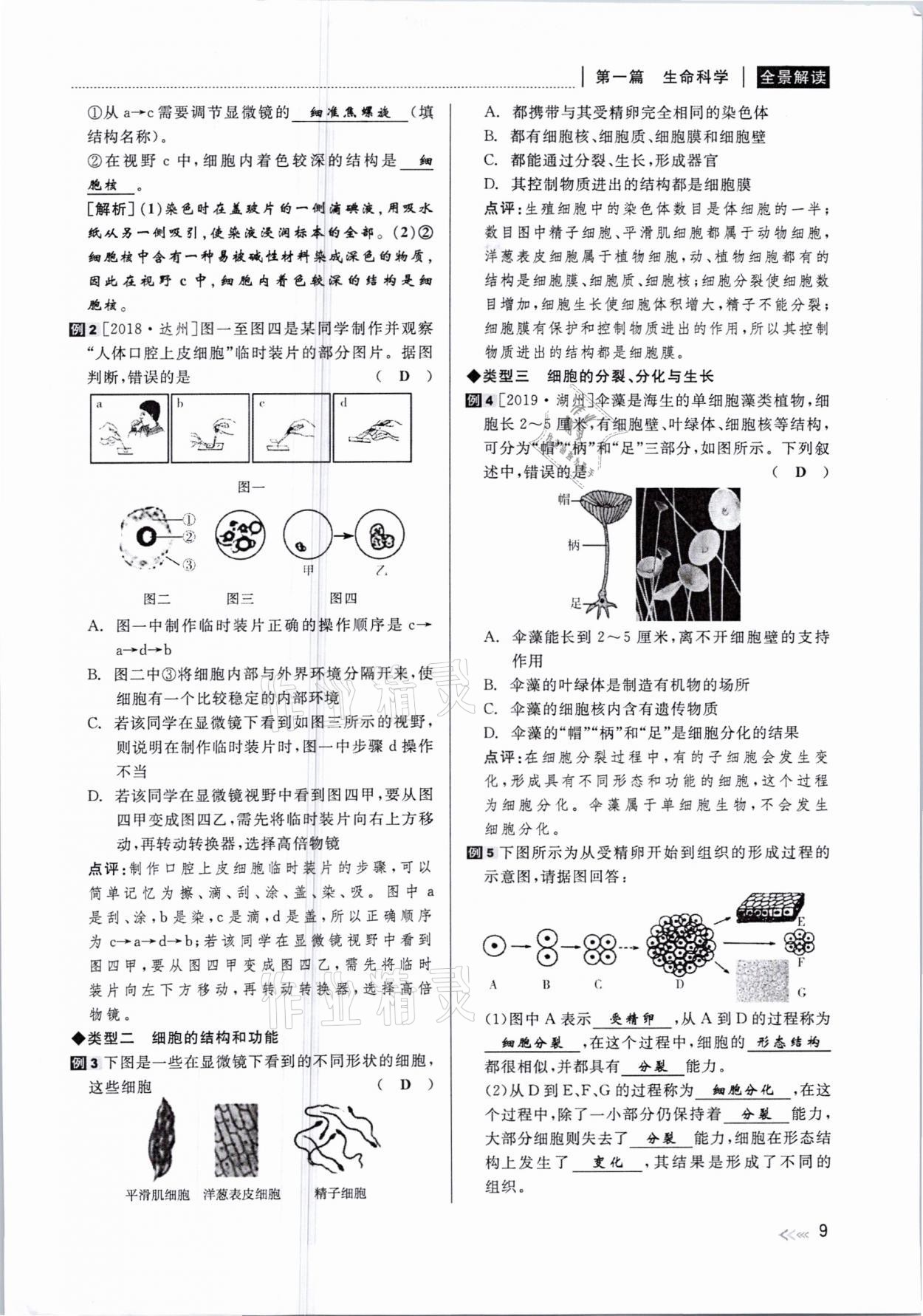 2021年中考復(fù)習(xí)全景解讀科學(xué)華師大版 參考答案第9頁