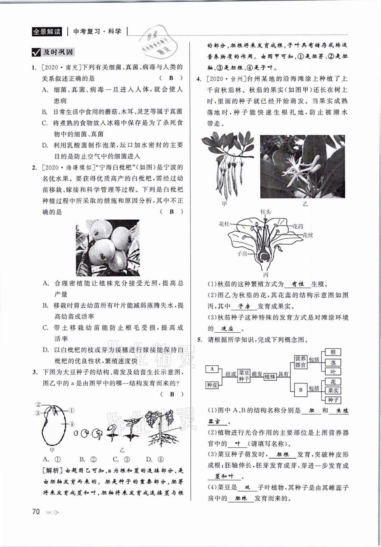 2021年中考復習全景解讀科學華師大版 參考答案第70頁