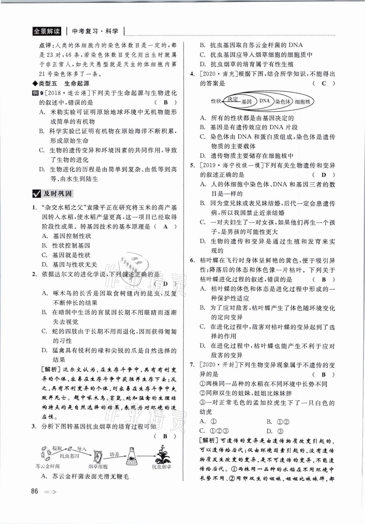 2021年中考復(fù)習(xí)全景解讀科學(xué)華師大版 參考答案第86頁