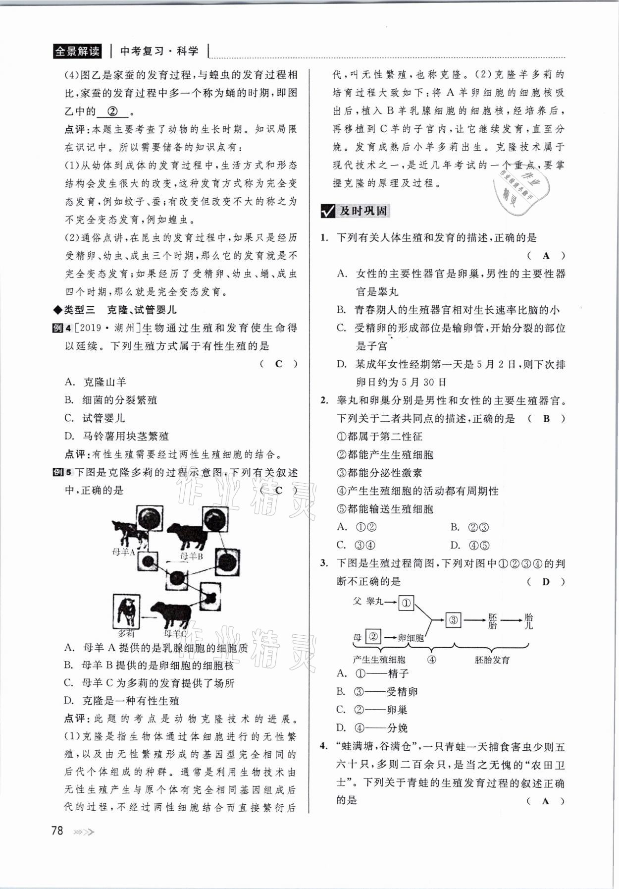 2021年中考復習全景解讀科學華師大版 參考答案第78頁