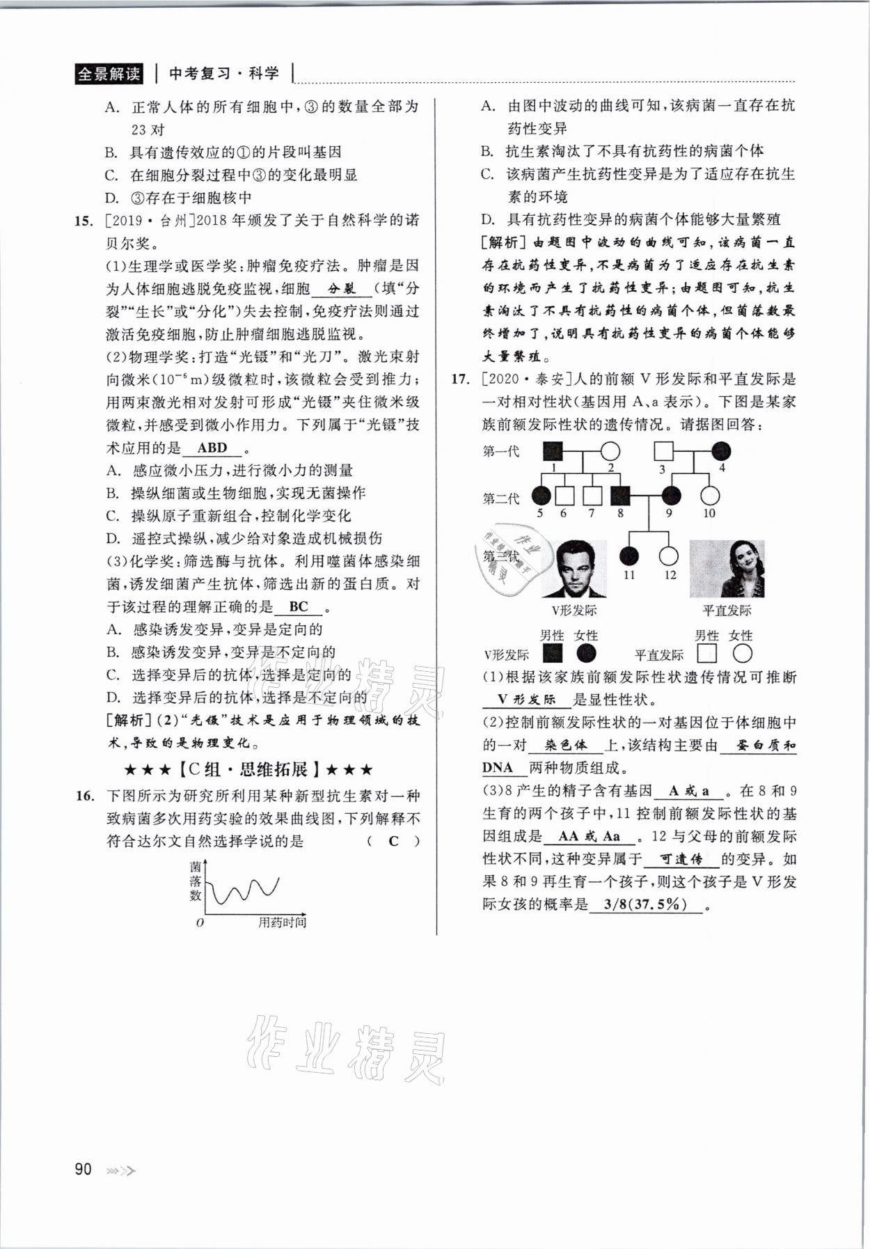 2021年中考復(fù)習(xí)全景解讀科學(xué)華師大版 參考答案第90頁