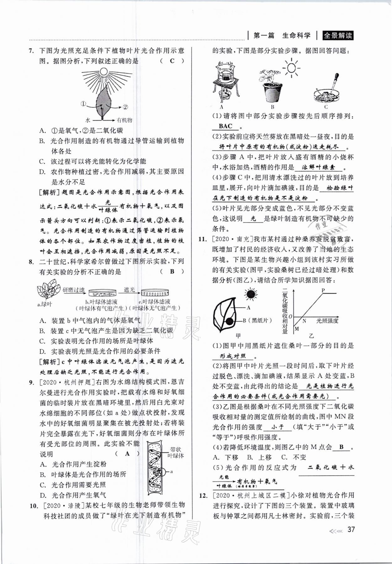 2021年中考復(fù)習(xí)全景解讀科學(xué)華師大版 參考答案第37頁(yè)