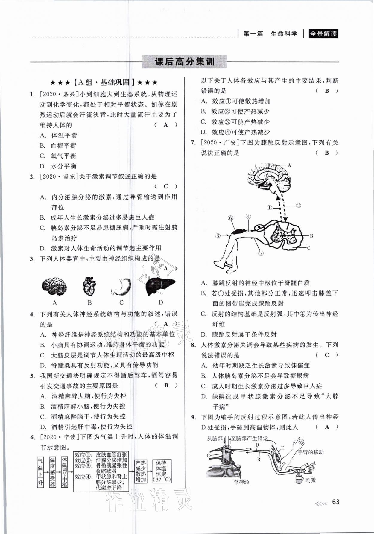 2021年中考復(fù)習(xí)全景解讀科學(xué)華師大版 參考答案第63頁(yè)