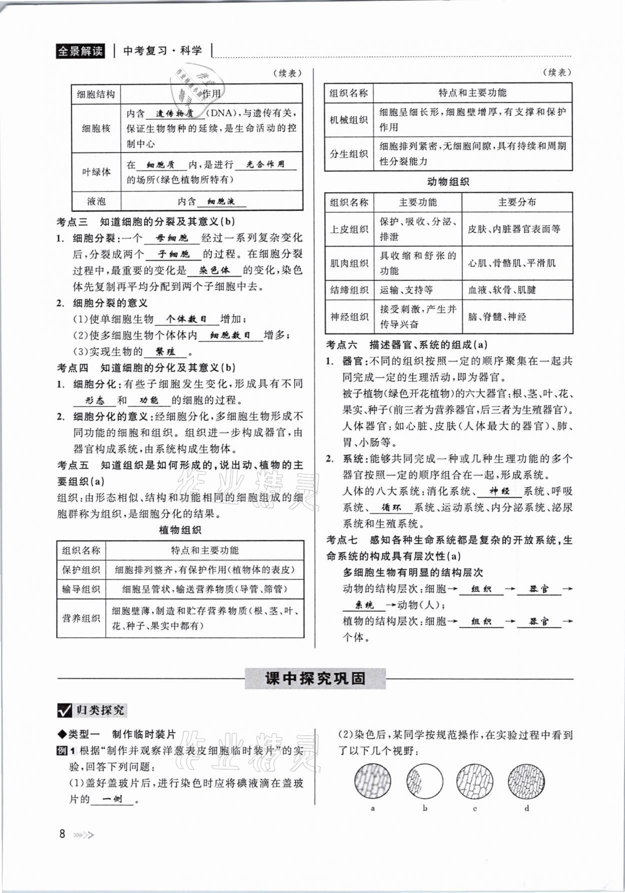 2021年中考復(fù)習(xí)全景解讀科學(xué)華師大版 參考答案第8頁(yè)