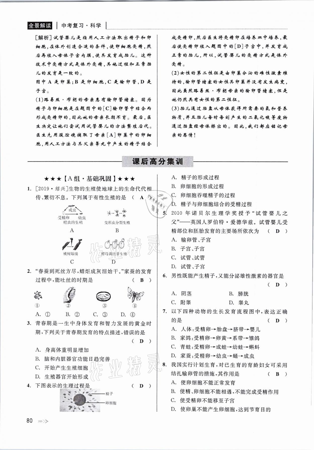 2021年中考復習全景解讀科學華師大版 參考答案第80頁