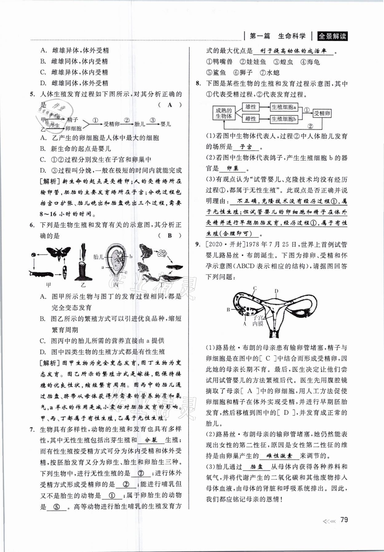 2021年中考復(fù)習(xí)全景解讀科學(xué)華師大版 參考答案第79頁