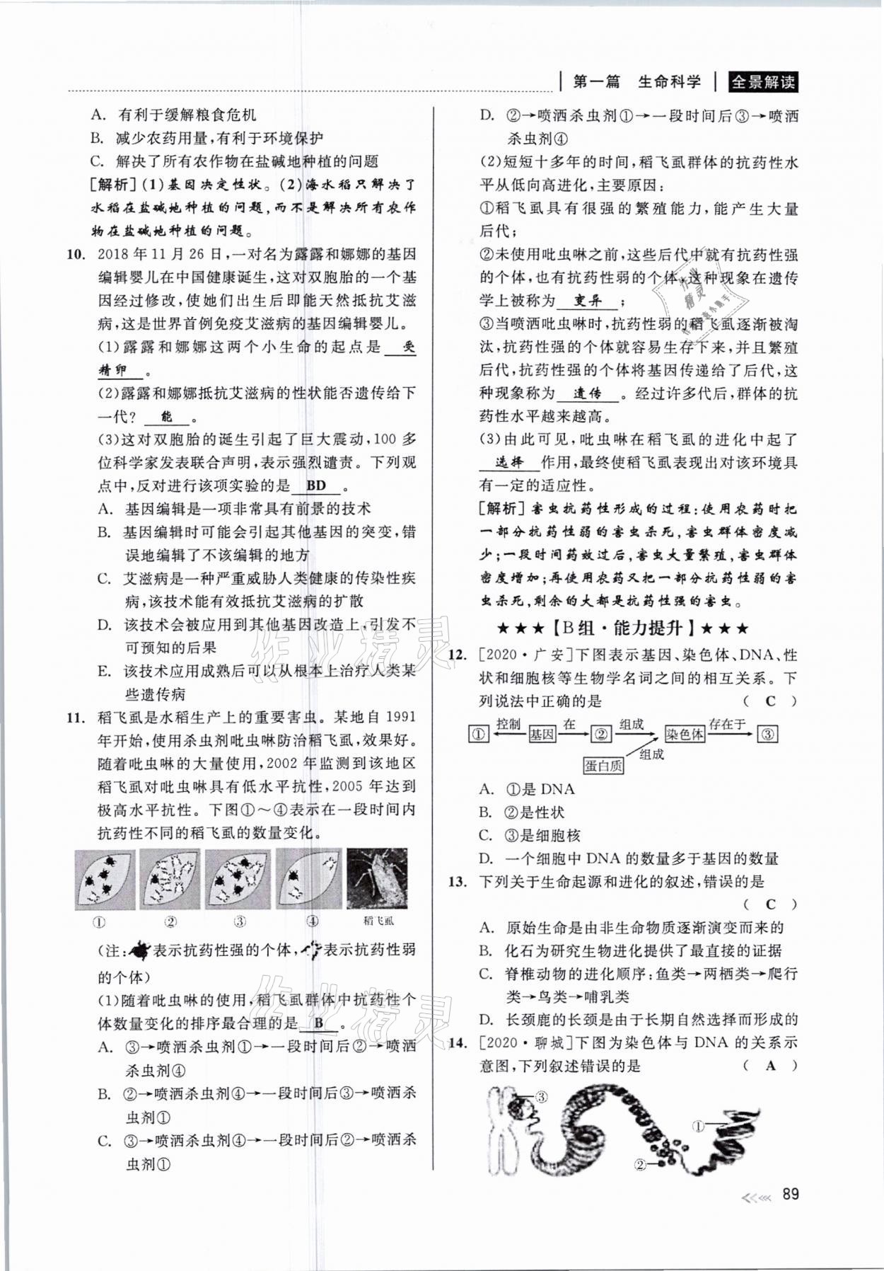 2021年中考復習全景解讀科學華師大版 參考答案第89頁