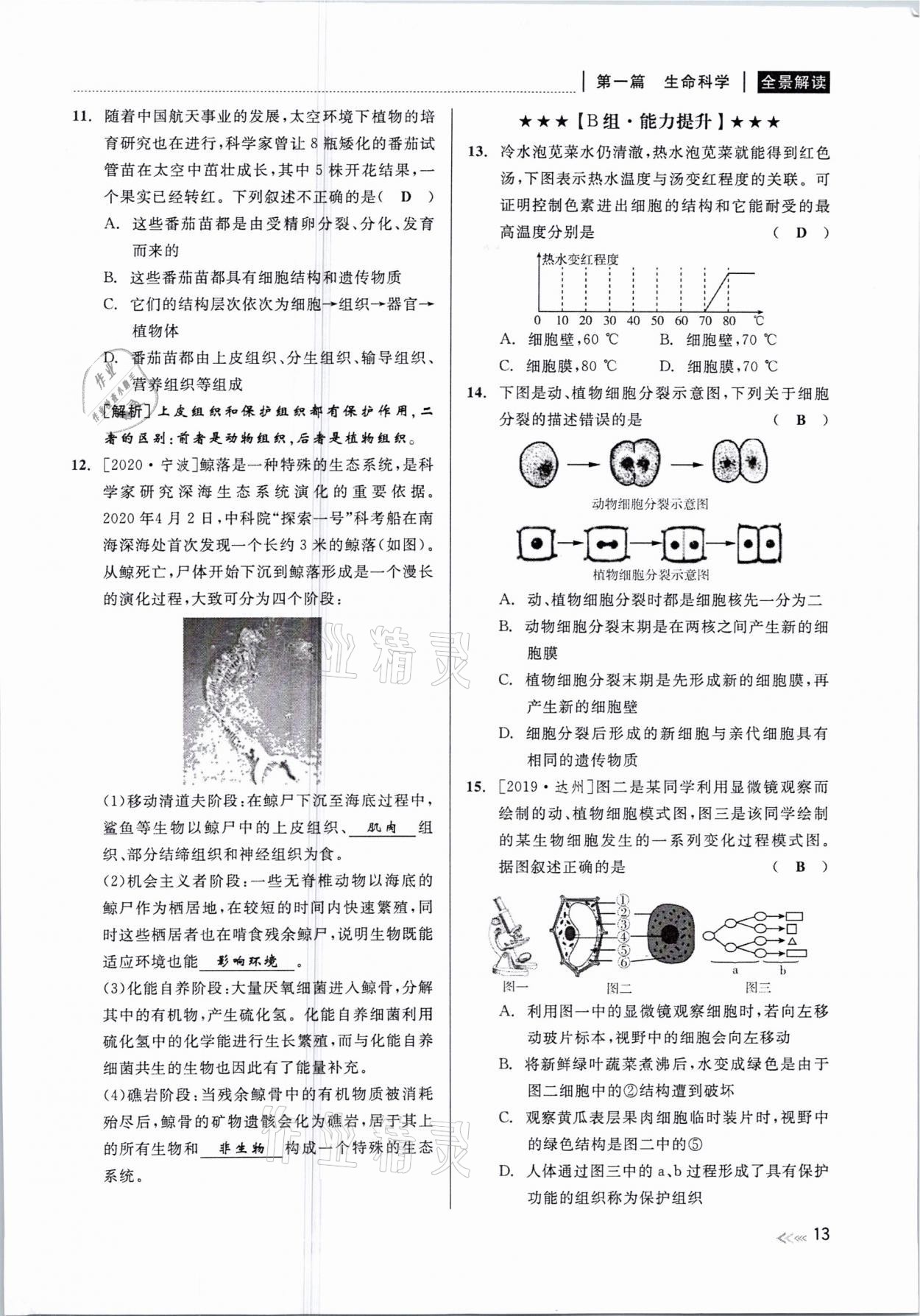 2021年中考復(fù)習(xí)全景解讀科學(xué)華師大版 參考答案第13頁(yè)