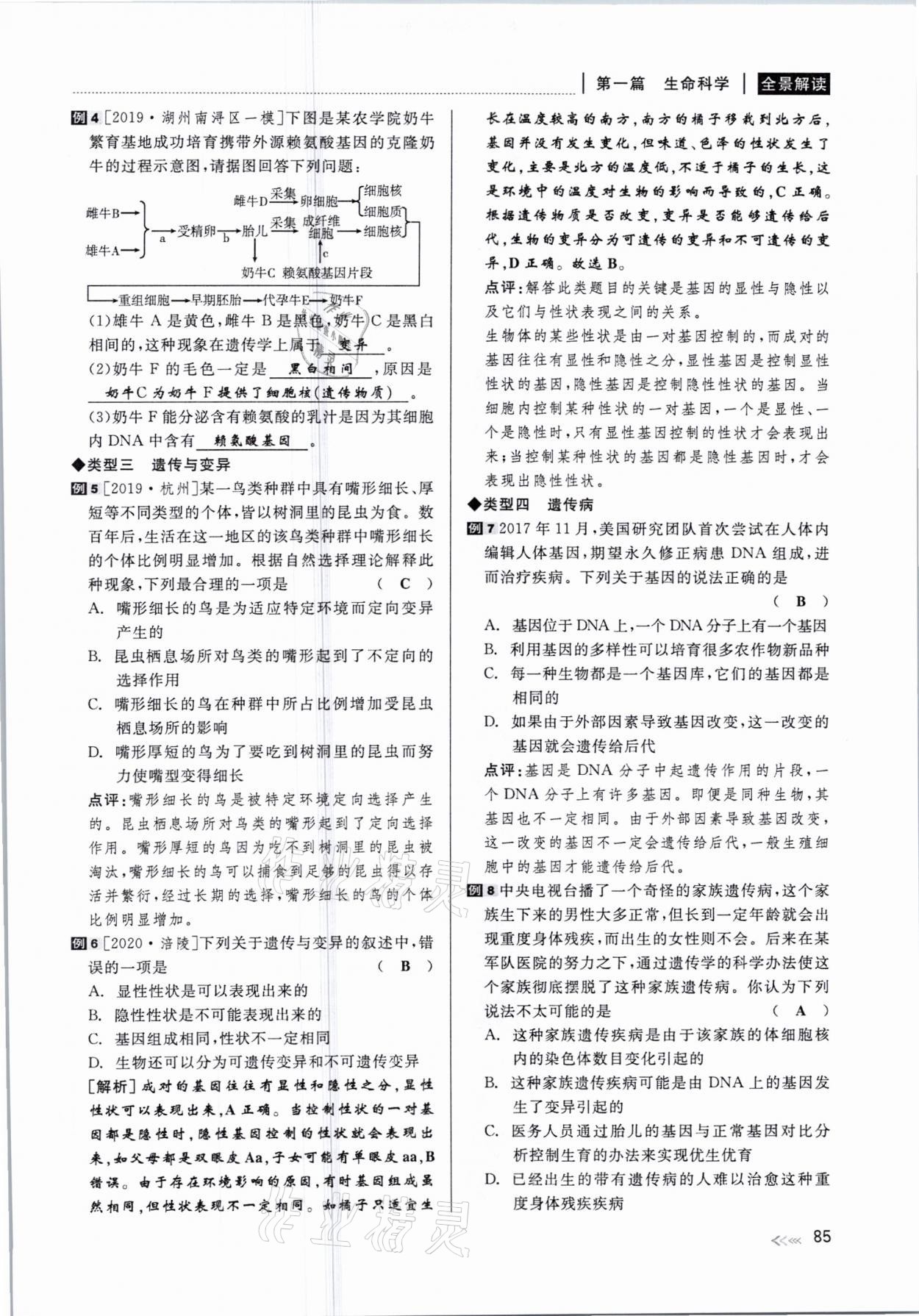 2021年中考復(fù)習(xí)全景解讀科學(xué)華師大版 參考答案第85頁