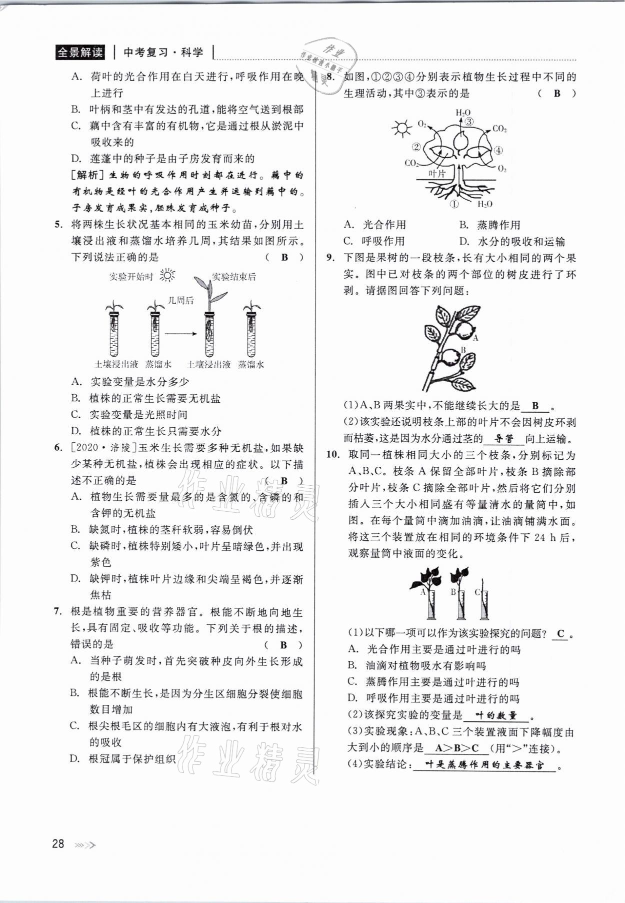 2021年中考復(fù)習(xí)全景解讀科學(xué)華師大版 參考答案第28頁