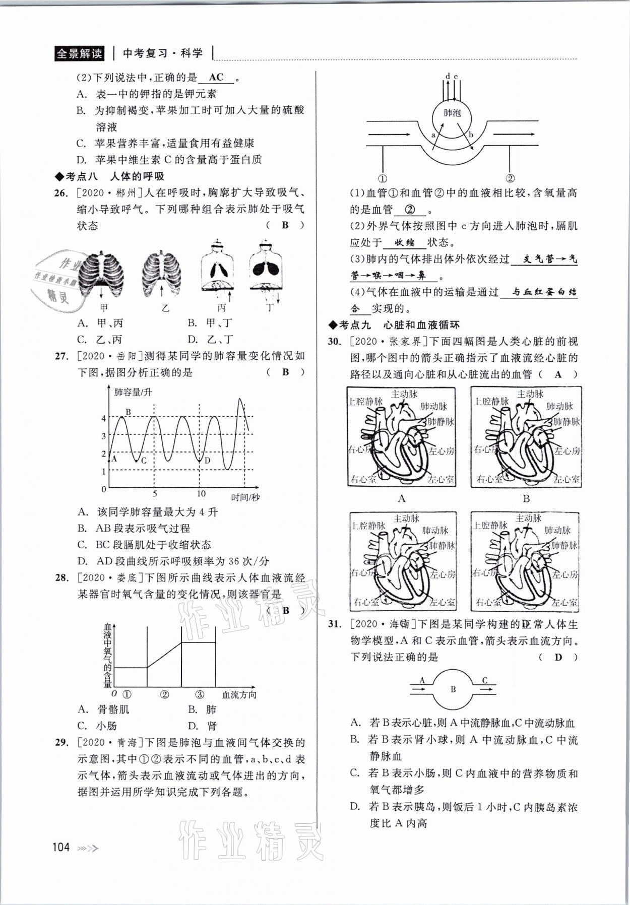 2021年中考復習全景解讀科學華師大版 參考答案第104頁