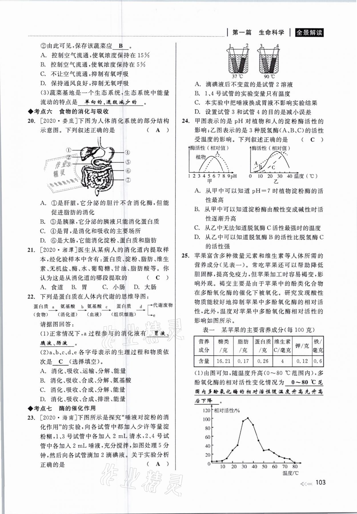 2021年中考復(fù)習(xí)全景解讀科學(xué)華師大版 參考答案第103頁(yè)