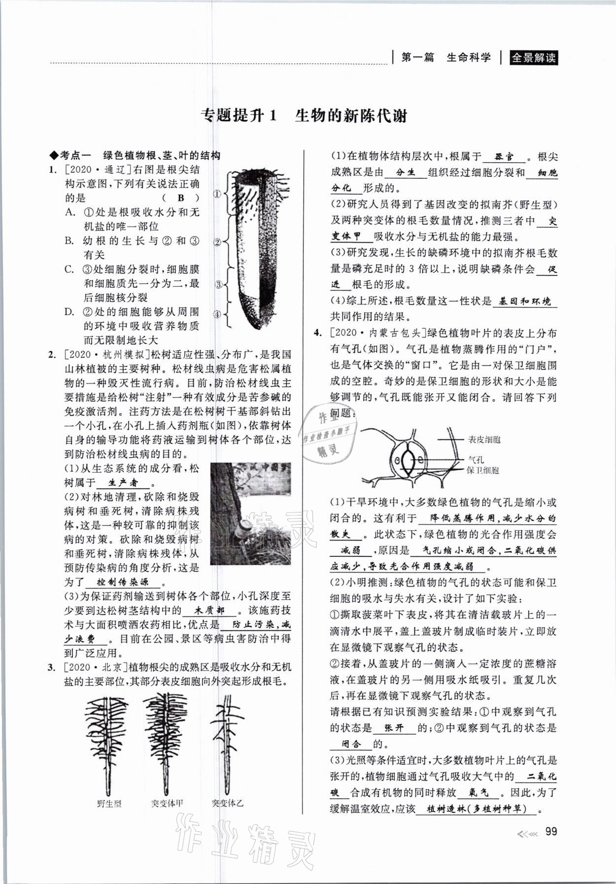 2021年中考復(fù)習(xí)全景解讀科學(xué)華師大版 參考答案第99頁