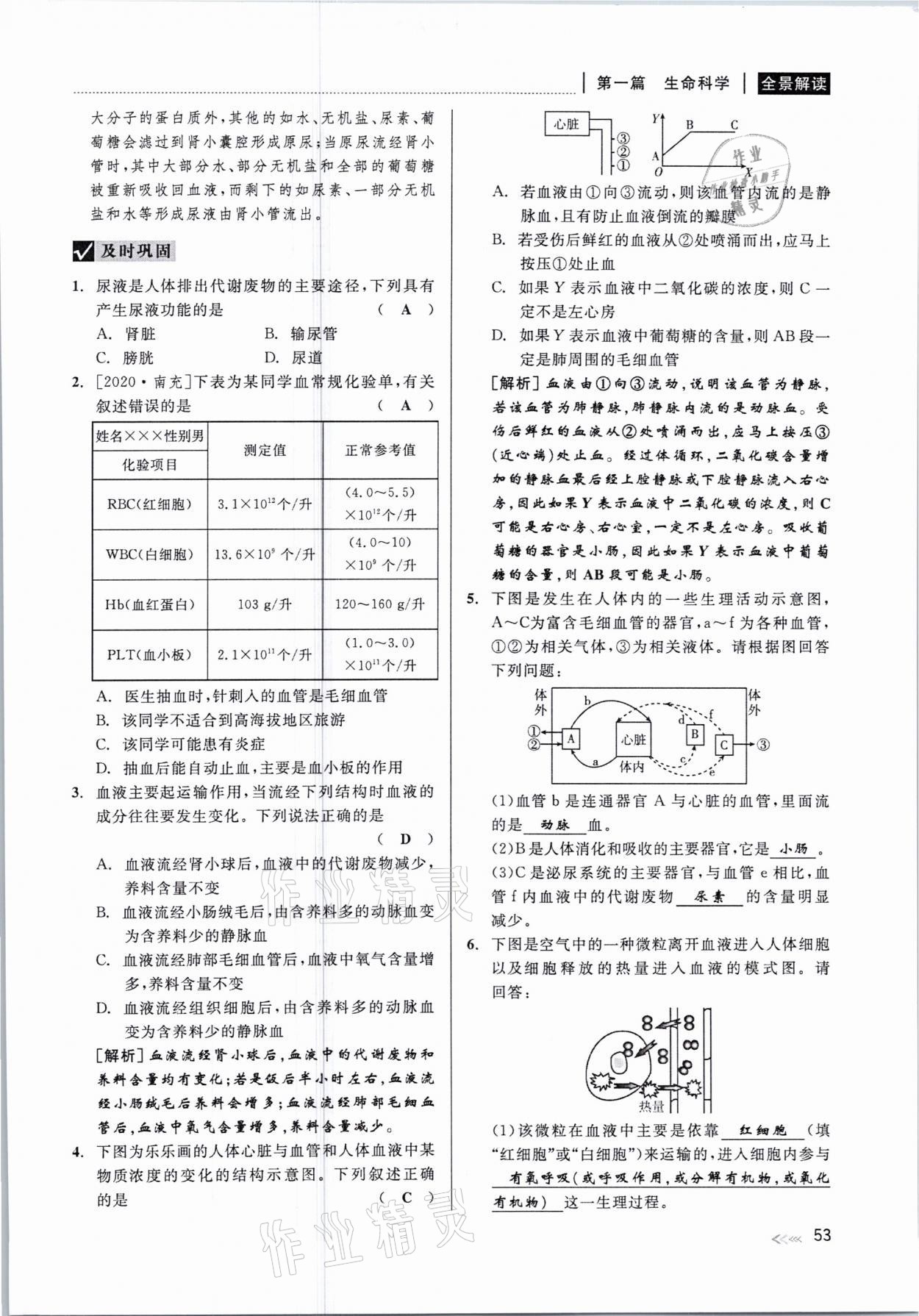 2021年中考復(fù)習(xí)全景解讀科學(xué)華師大版 參考答案第53頁(yè)