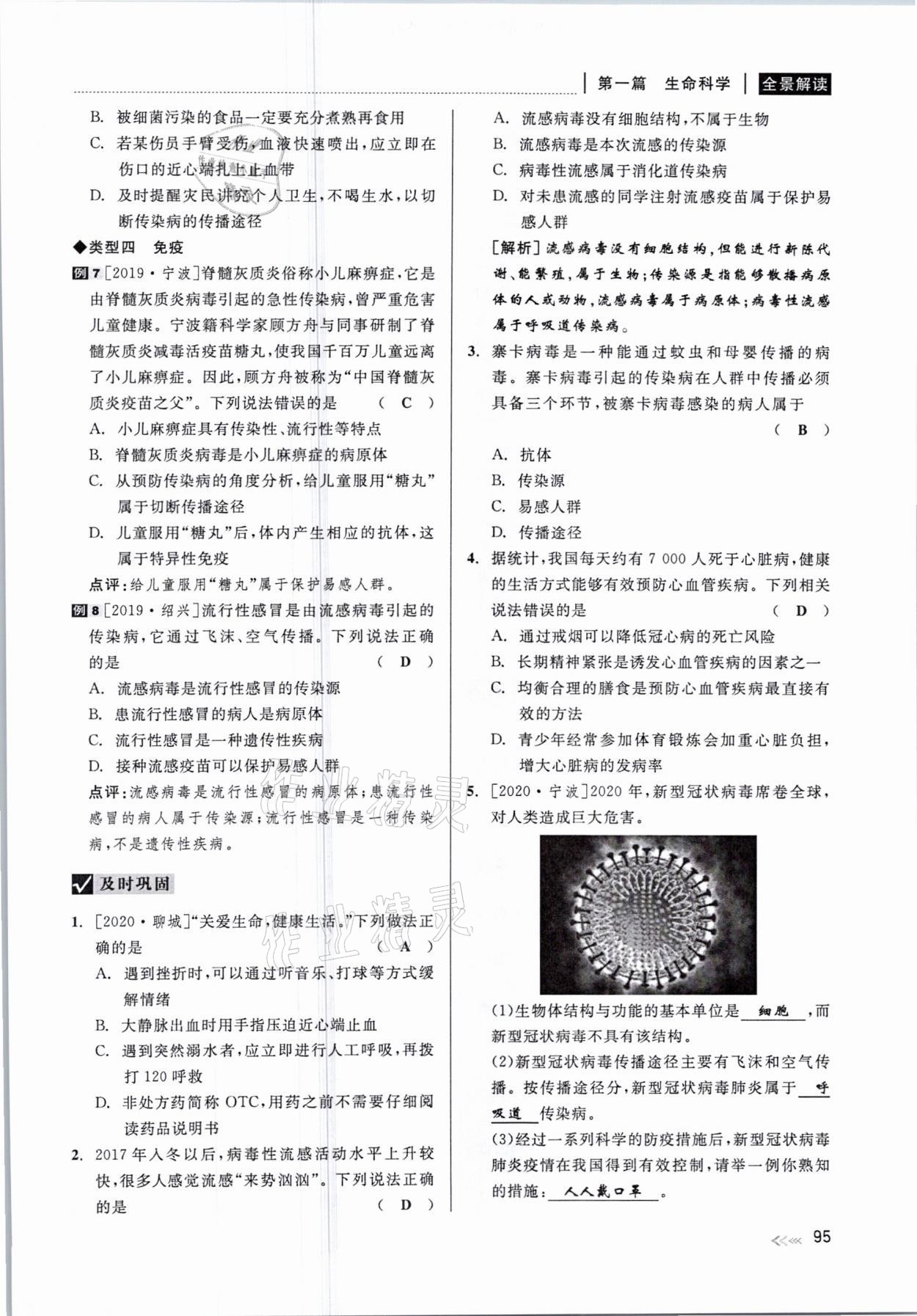 2021年中考復習全景解讀科學華師大版 參考答案第95頁