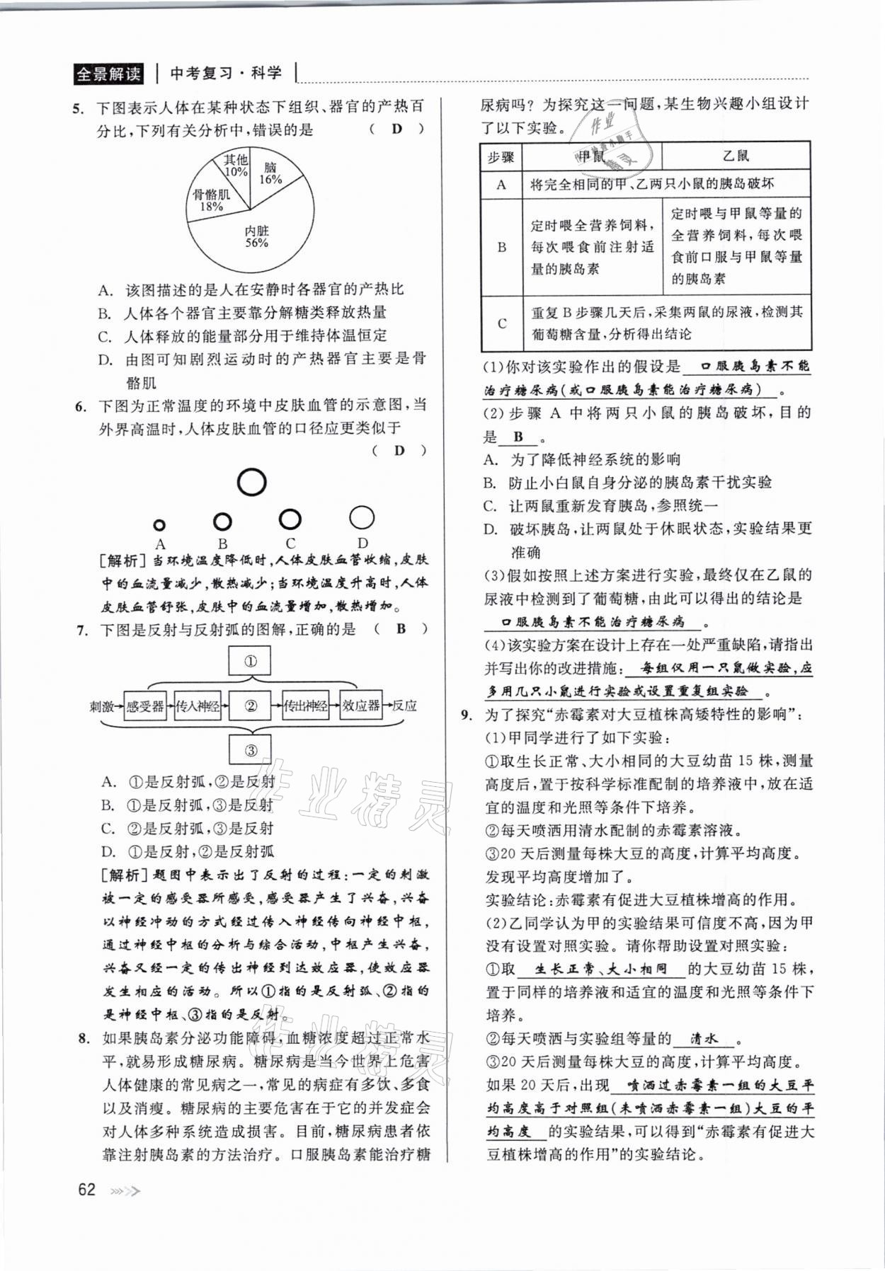 2021年中考復(fù)習(xí)全景解讀科學(xué)華師大版 參考答案第62頁