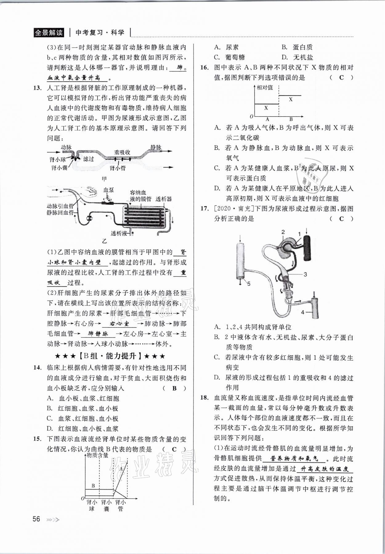 2021年中考復(fù)習(xí)全景解讀科學(xué)華師大版 參考答案第56頁