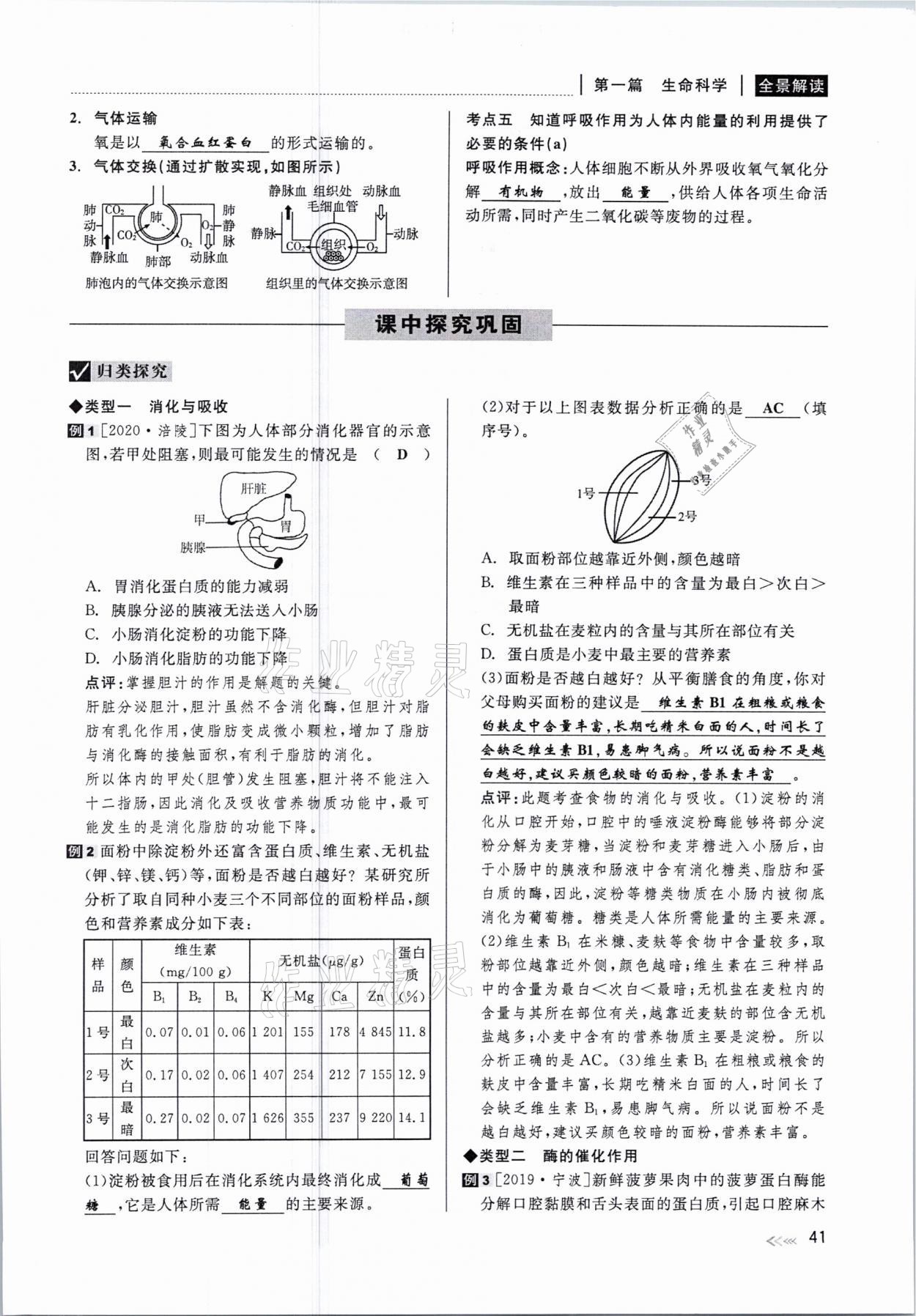 2021年中考復(fù)習(xí)全景解讀科學(xué)華師大版 參考答案第41頁(yè)