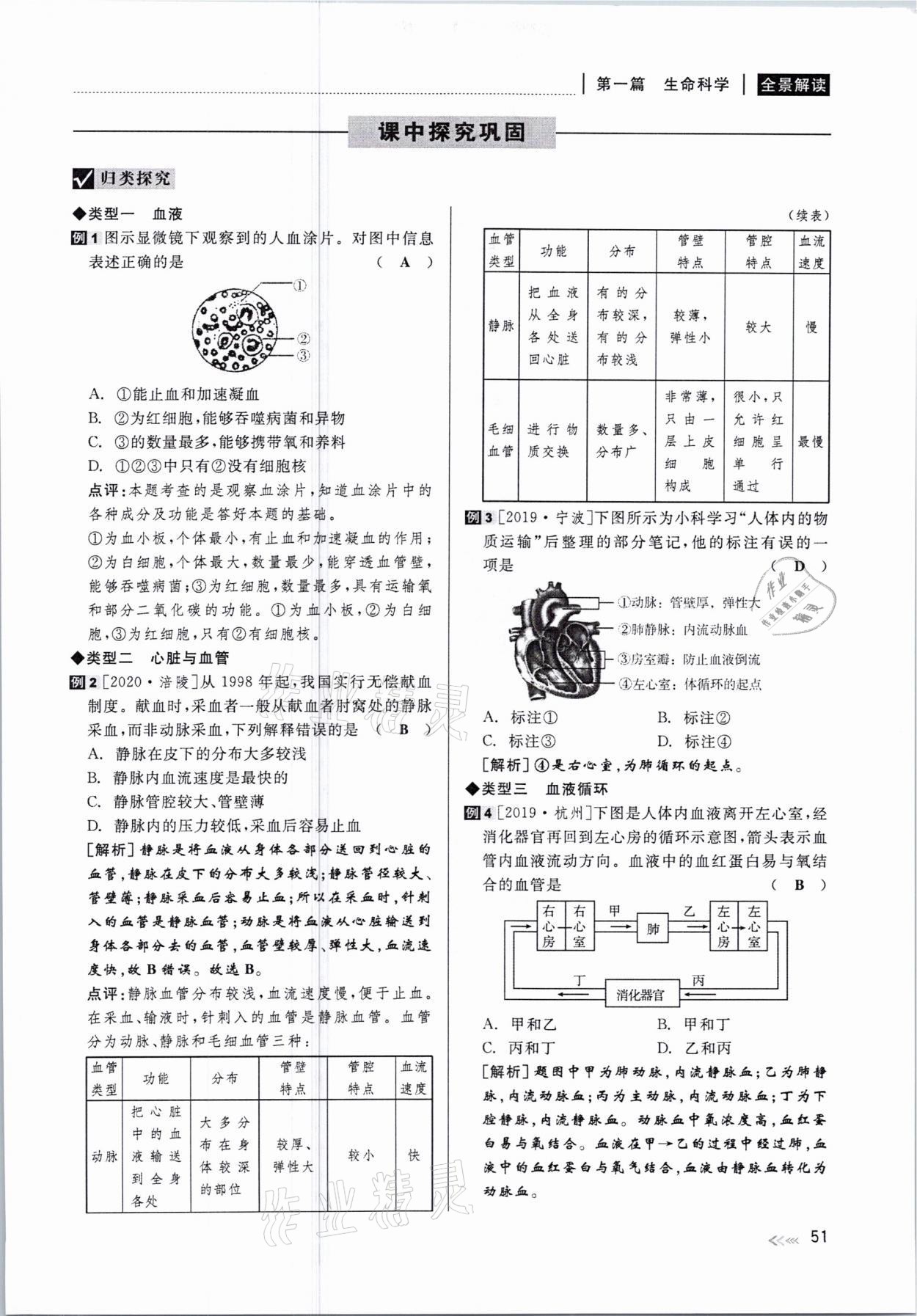 2021年中考復習全景解讀科學華師大版 參考答案第51頁