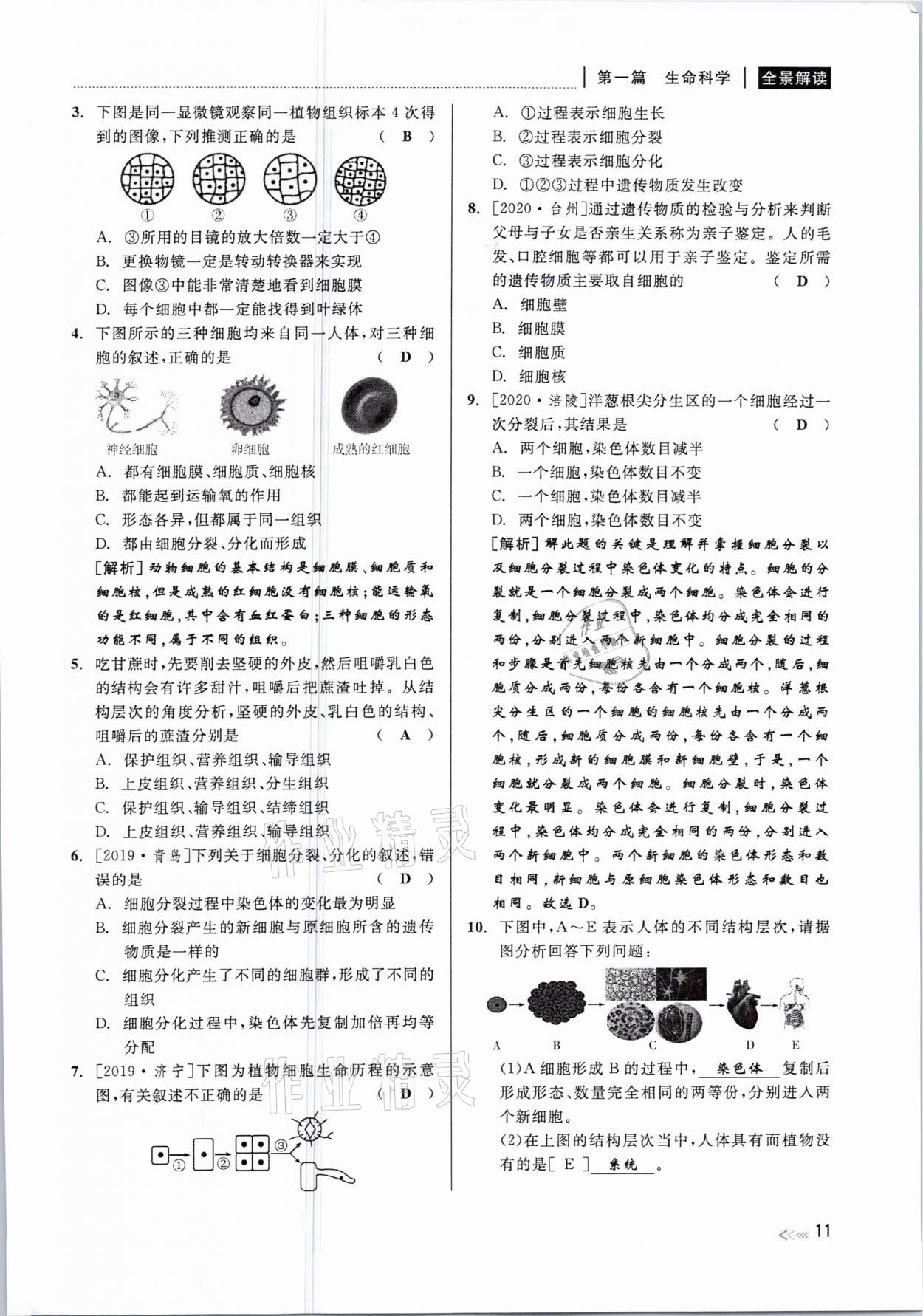 2021年中考復習全景解讀科學華師大版 參考答案第11頁