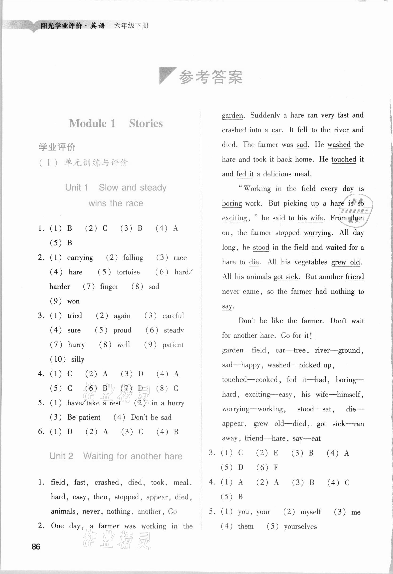 2021年陽光學(xué)業(yè)評價六年級英語下冊教科版 參考答案第1頁