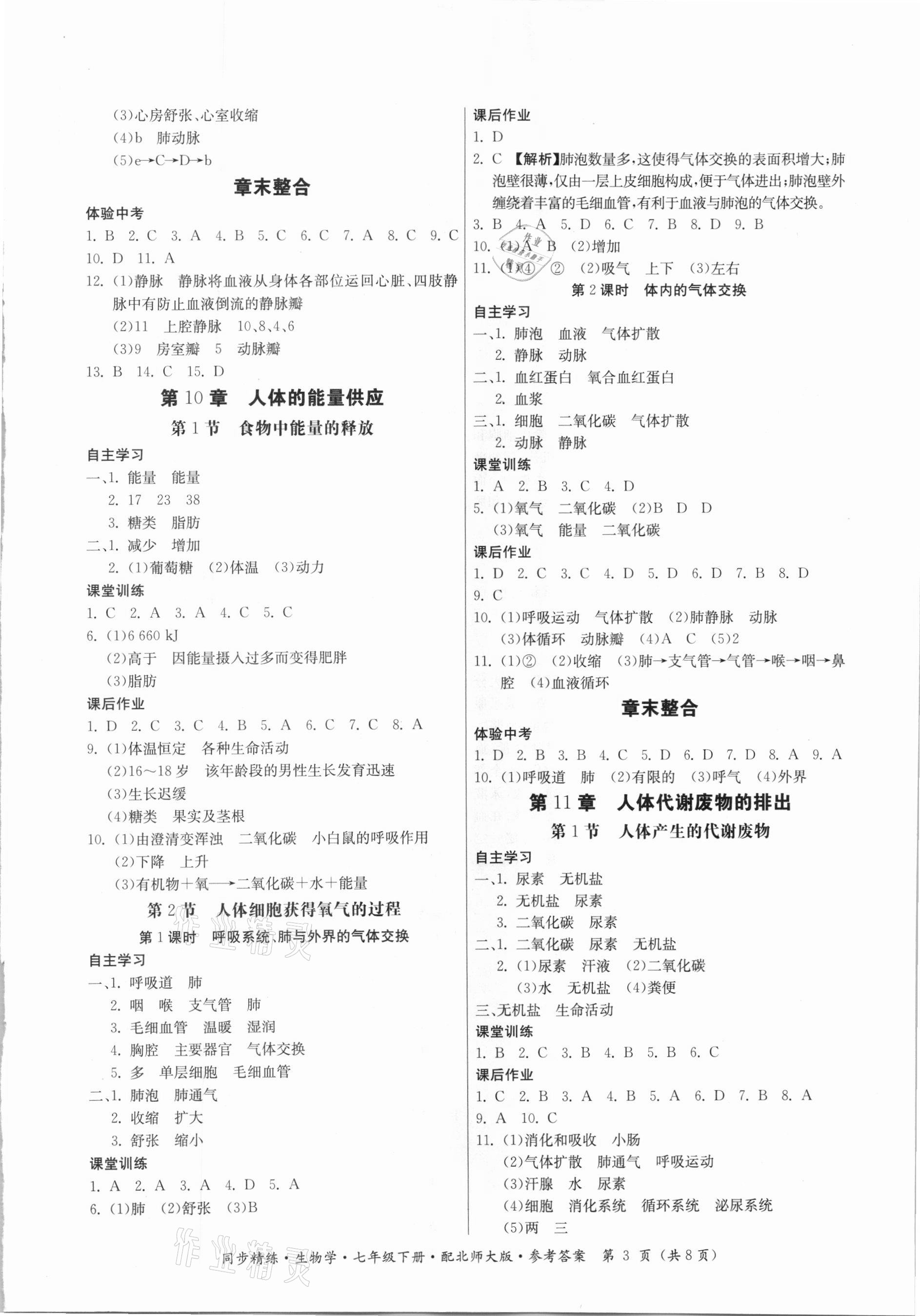 2021年同步精練七年級生物學(xué)下冊北師大版廣東人民出版社 第3頁