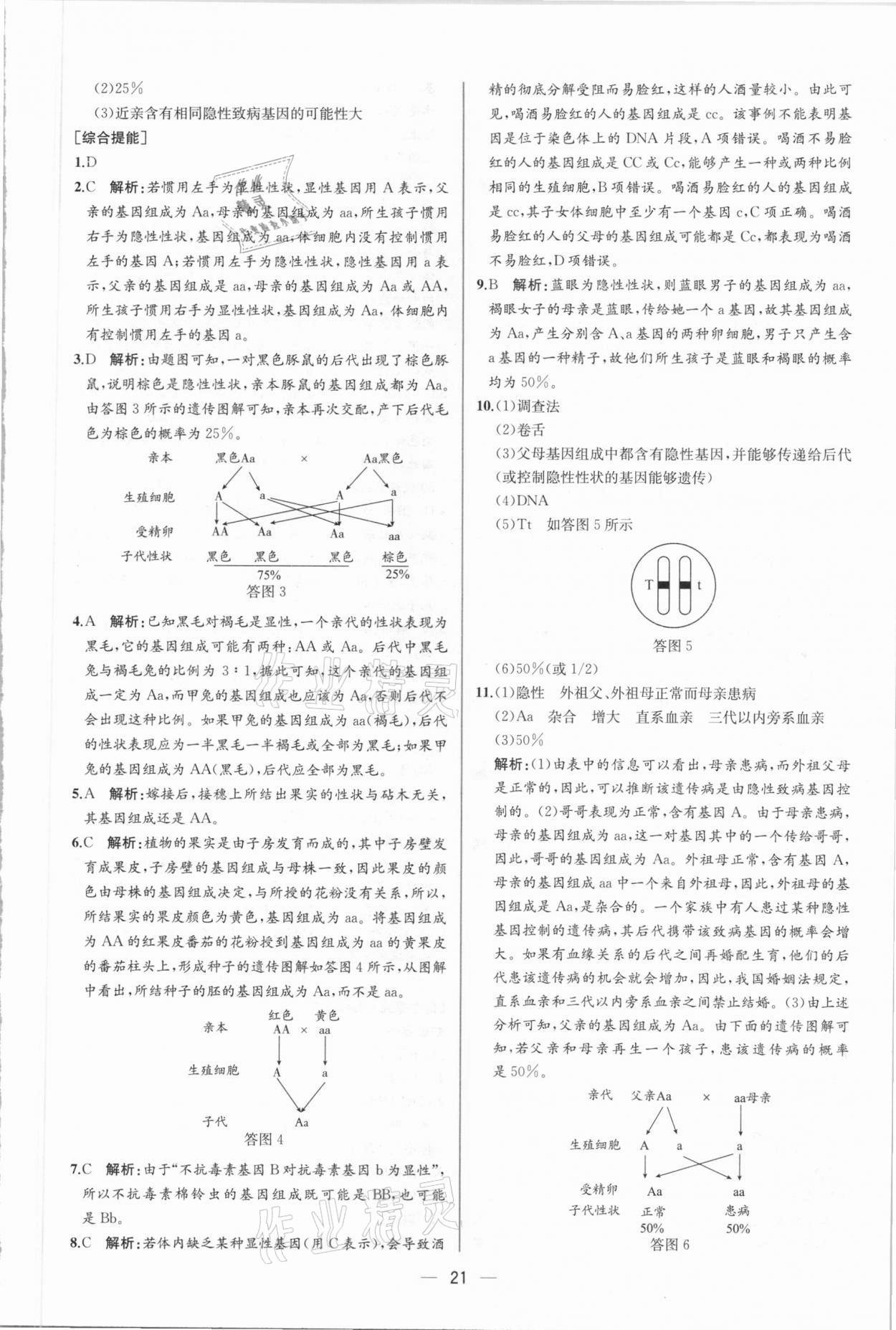 2021年同步導(dǎo)學(xué)案課時(shí)練八年級(jí)生物下冊(cè)人教版 第5頁