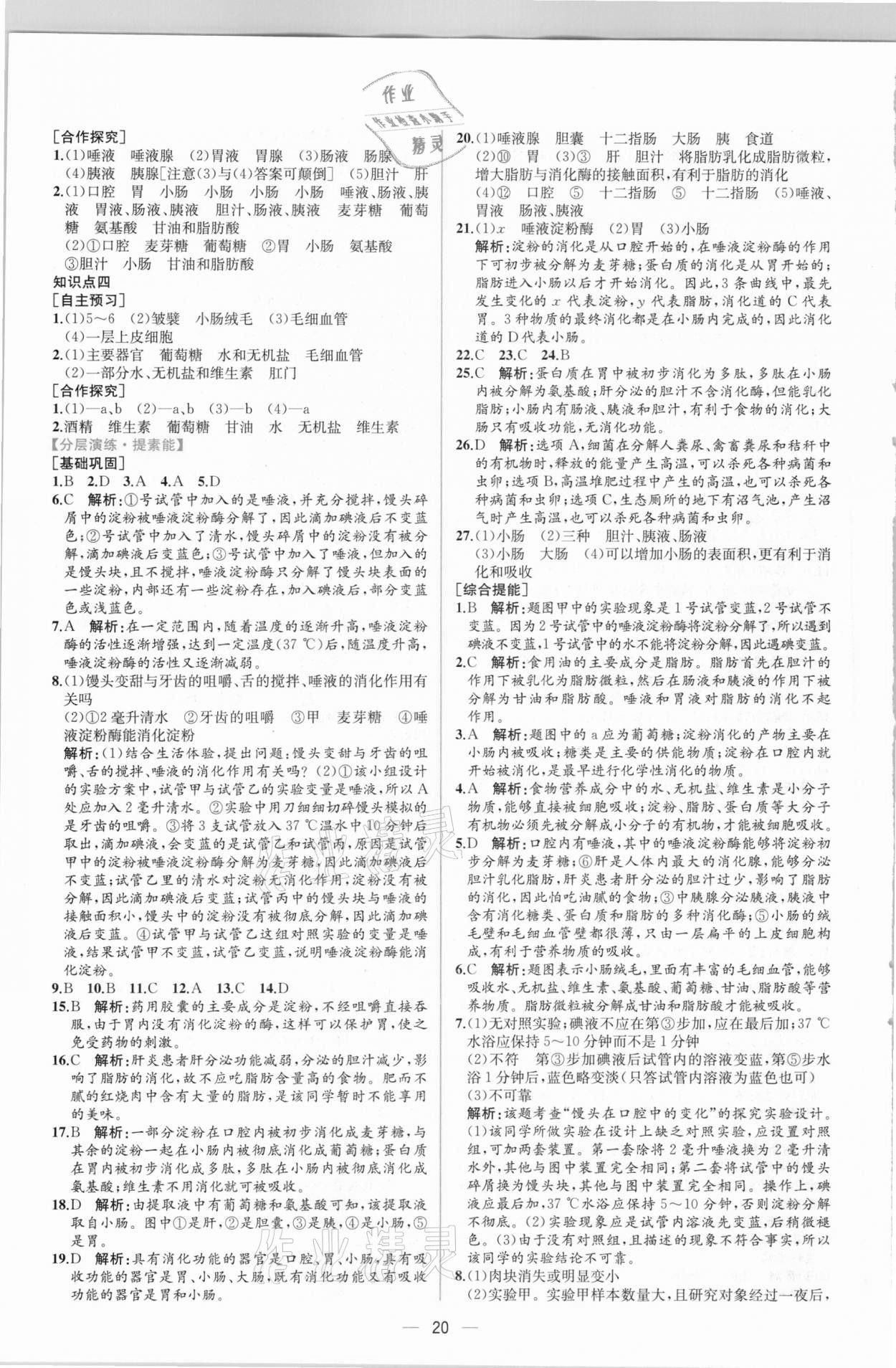 2021年同步导学案课时练七年级生物下册人教版 第4页