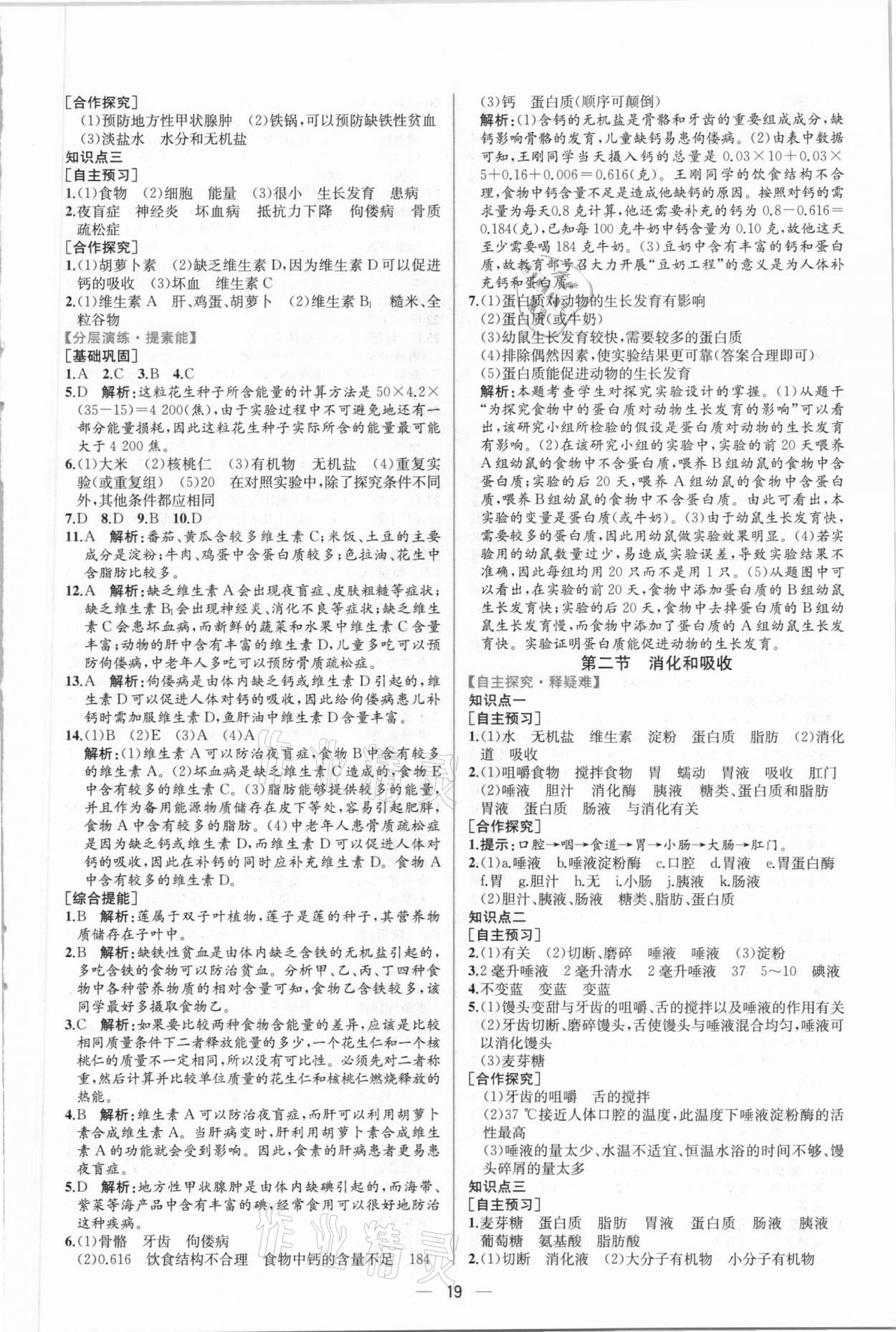 2021年同步導(dǎo)學(xué)案課時練七年級生物下冊人教版 第3頁