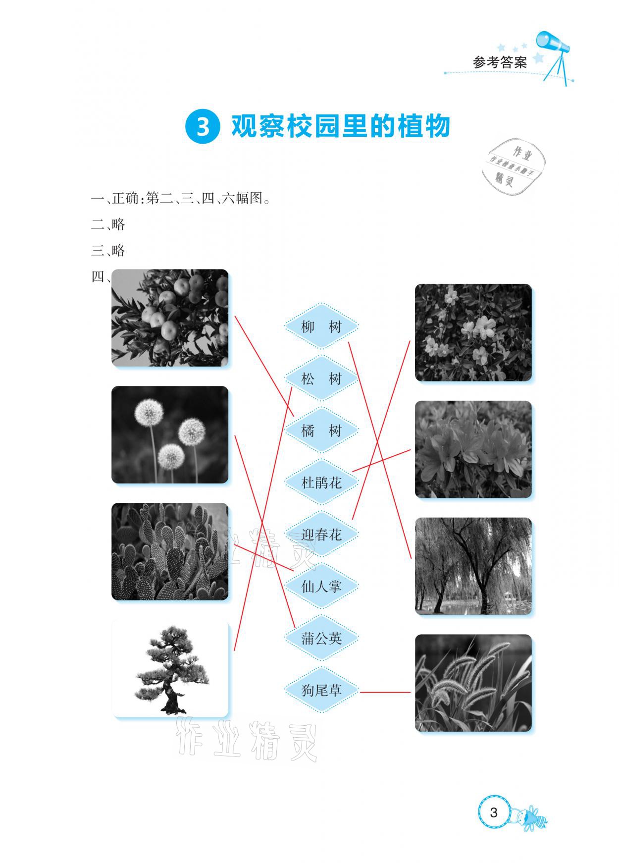 2021年長江作業(yè)本課堂作業(yè)一年級科學(xué)下冊鄂教版 參考答案第3頁