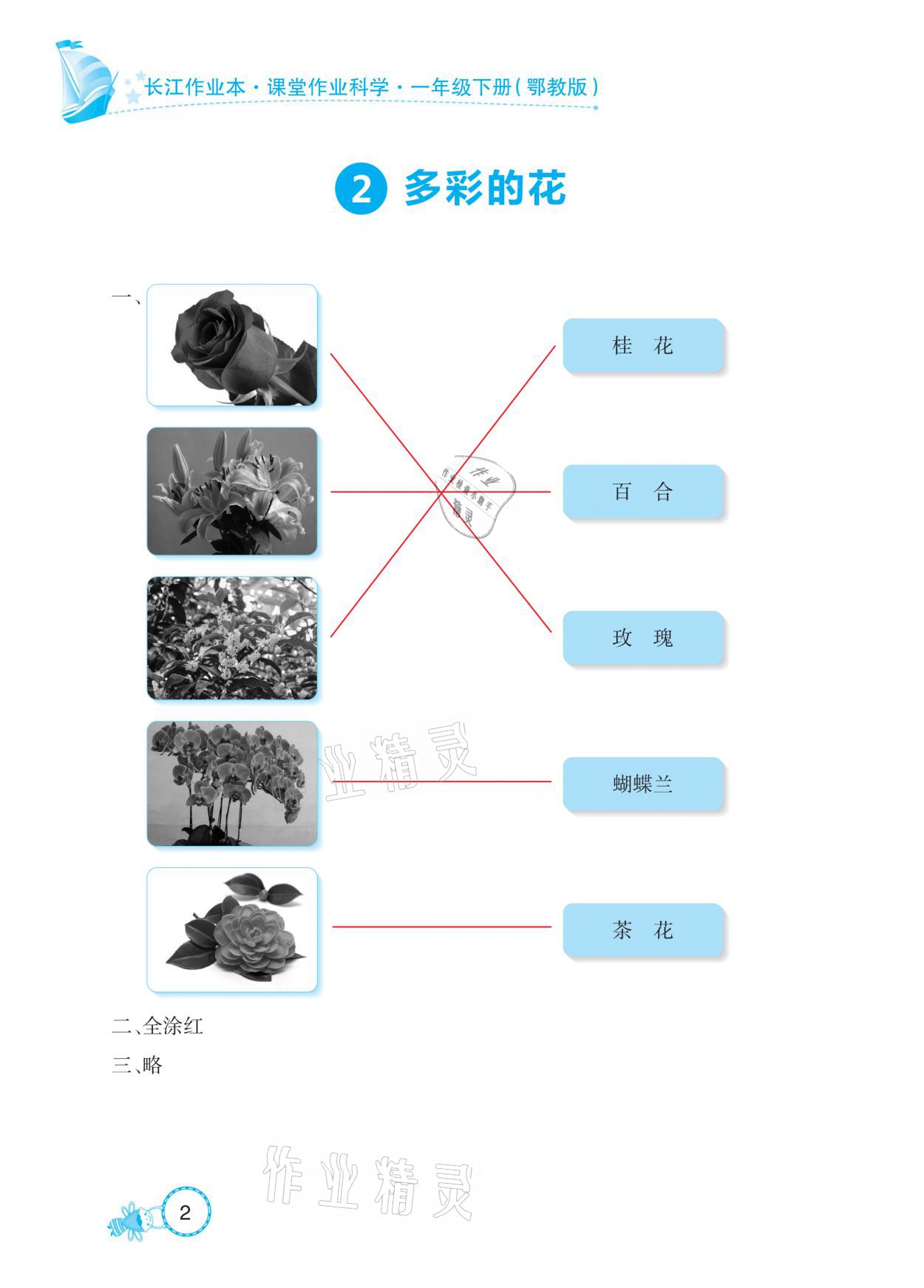 2021年長江作業(yè)本課堂作業(yè)一年級科學(xué)下冊鄂教版 參考答案第2頁