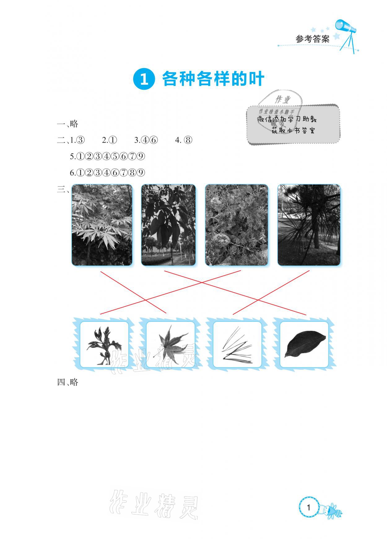 2021年長江作業(yè)本課堂作業(yè)一年級科學下冊鄂教版 參考答案第1頁